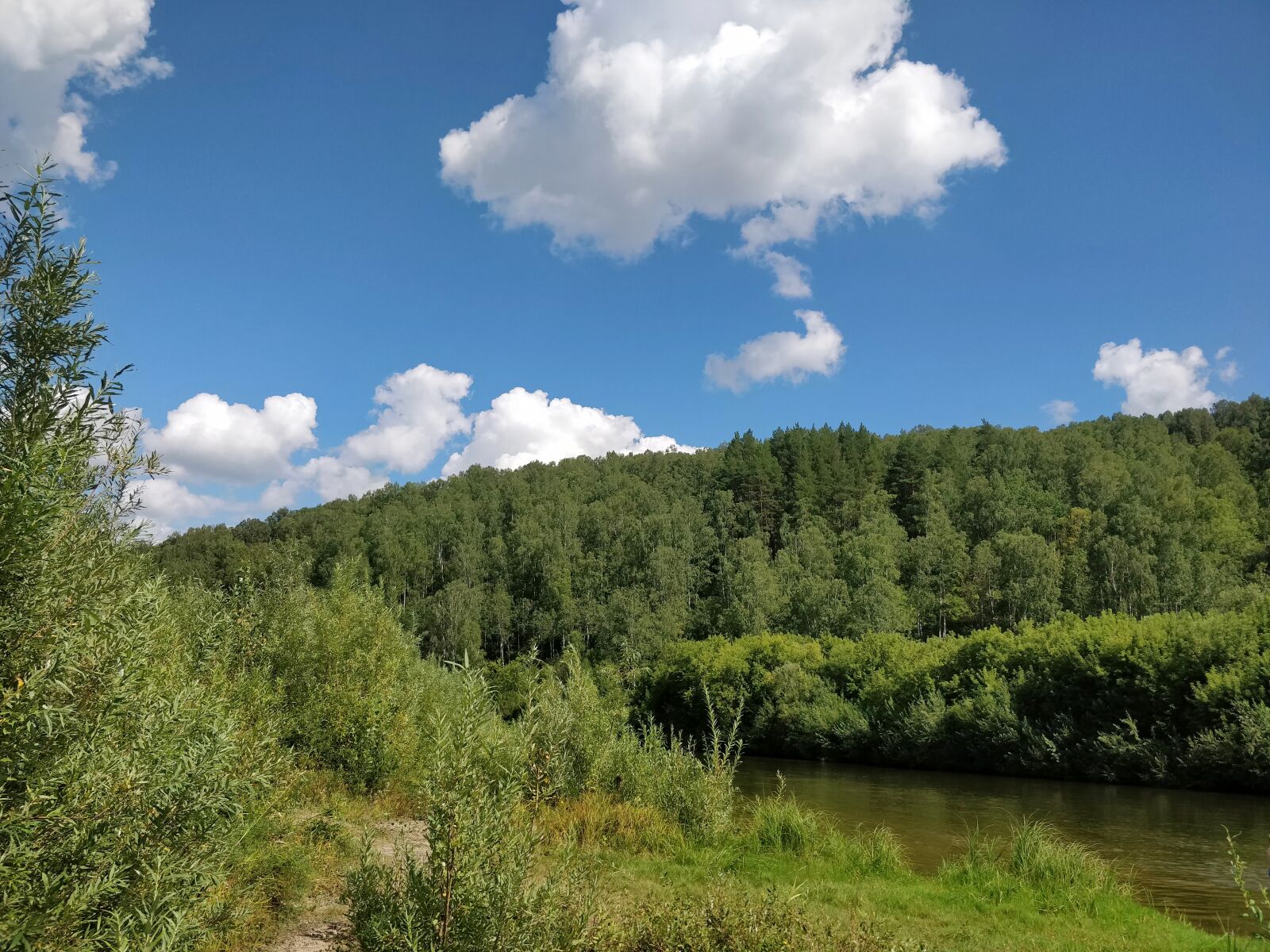 OnePlus 5T sample photo. Nature, trees, sky photography