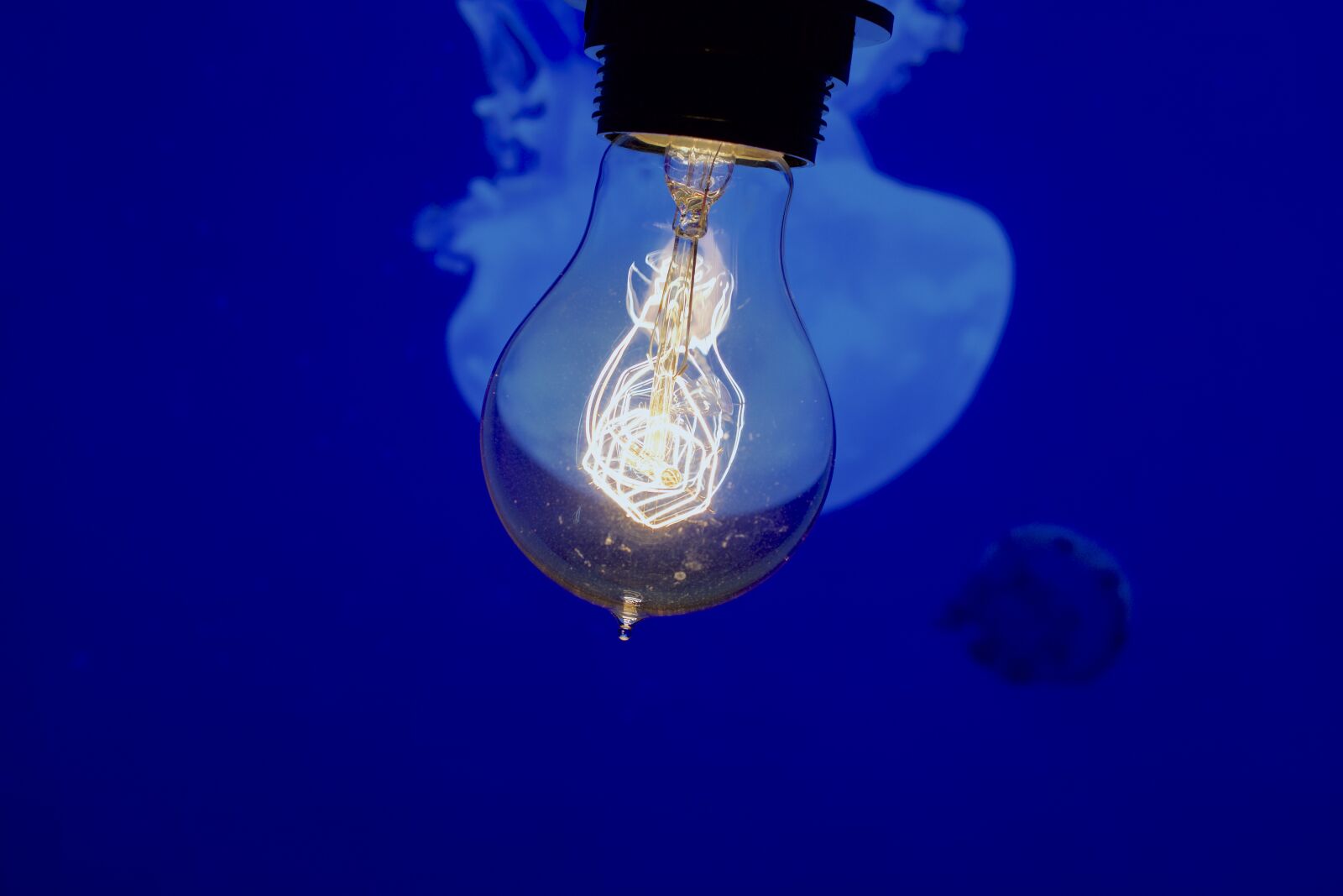 Nikon D5300 sample photo. Filament, vintage lamp, close photography