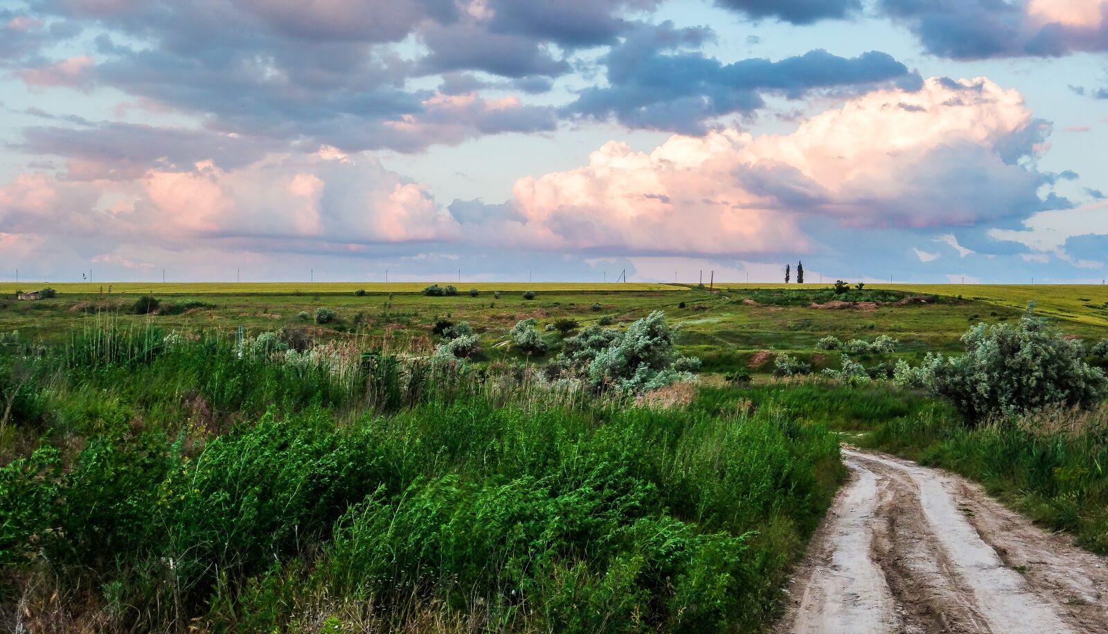 Sony Cyber-shot DSC-RX100 sample photo. Landscape, road, grass photography
