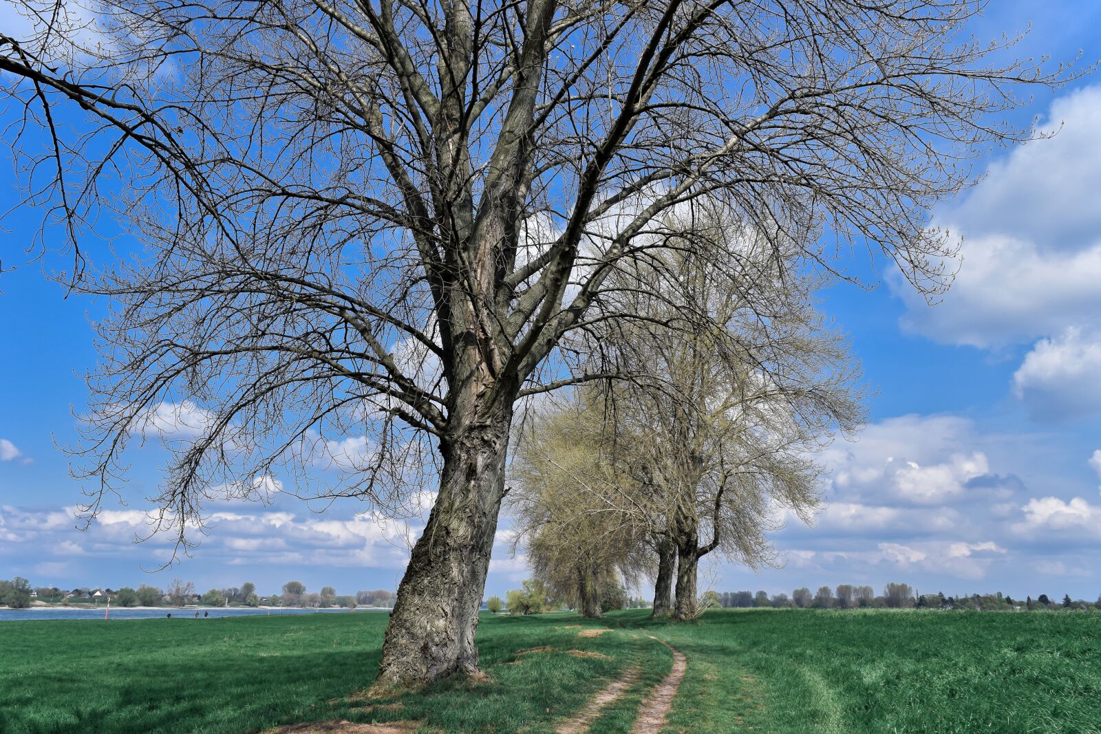 Nikon D3300 sample photo. Landscape, auen, nature photography
