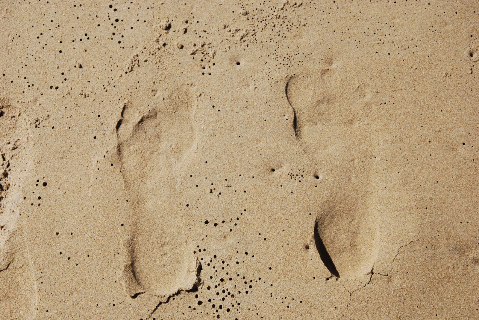 Nikon D60 sample photo. Sand, beach, footprint photography