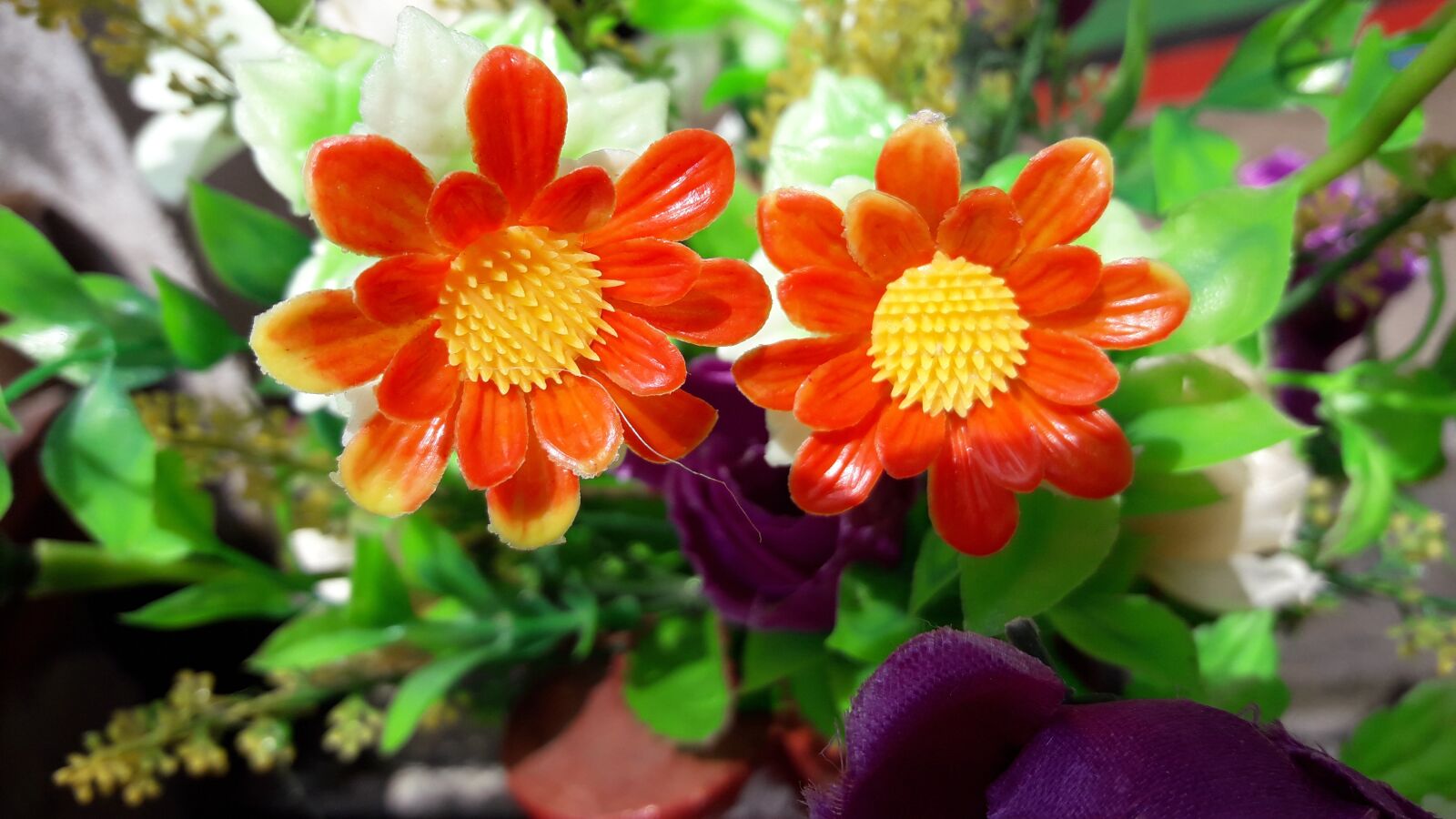 Samsung Galaxy J7 Neo sample photo. Flower images wallpaper, flower photography