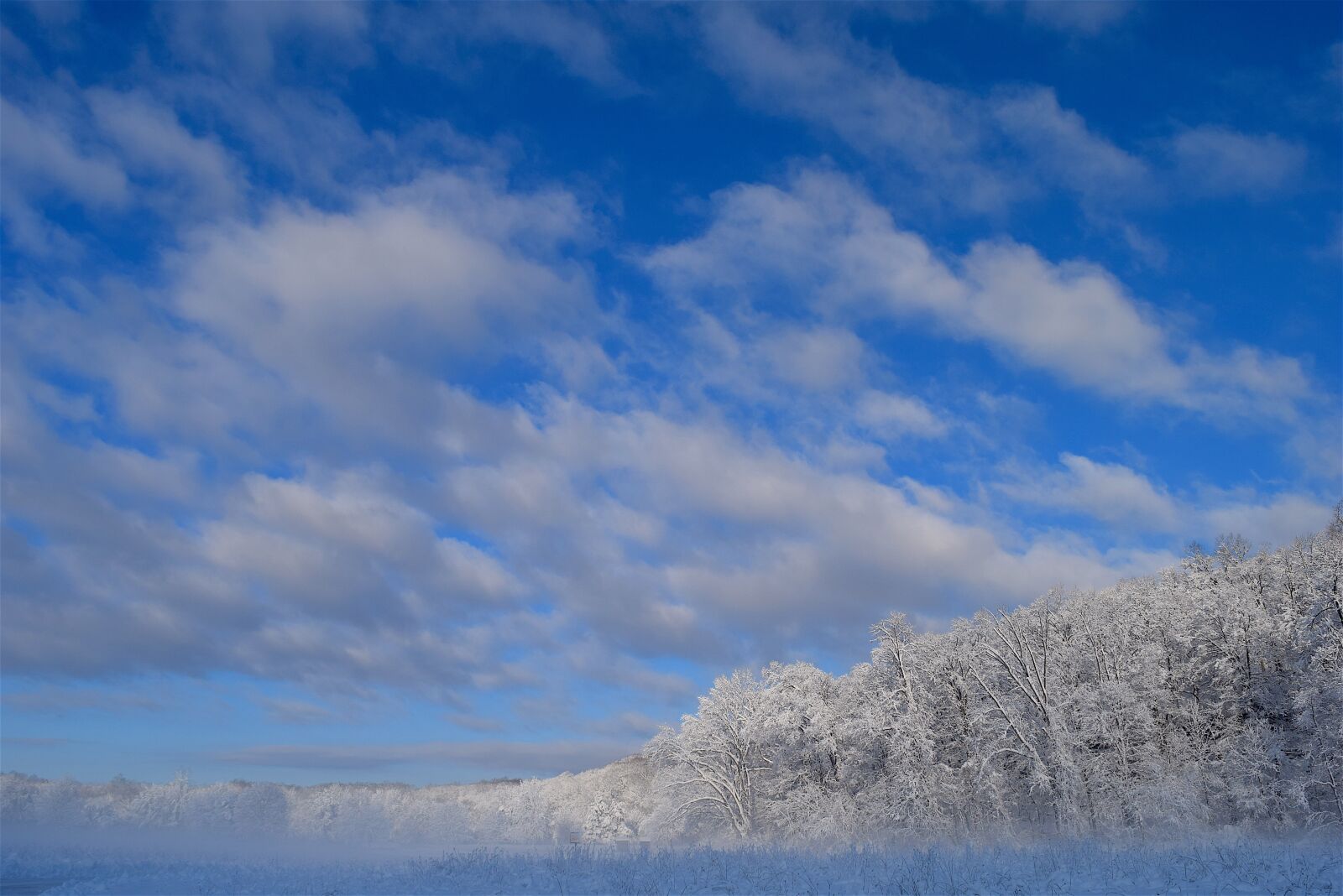 Nikon D3300 sample photo. Landscape, snow, winter photography