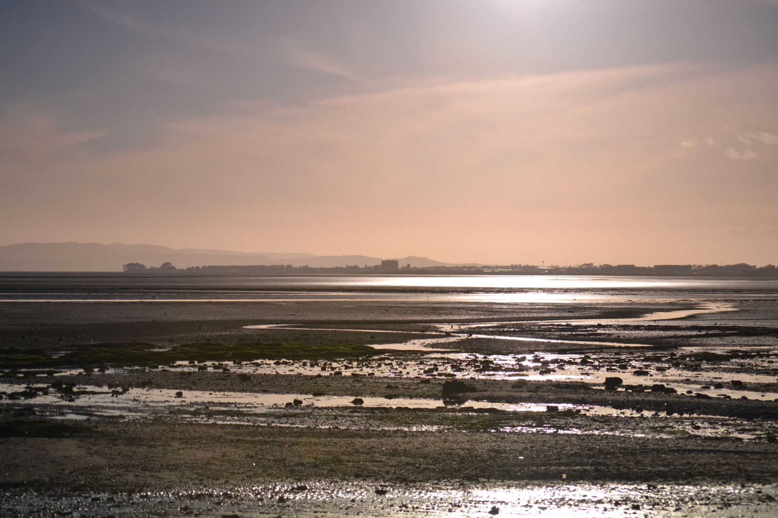 Nikon D3100 sample photo. Beach, golden, hour, manukau photography