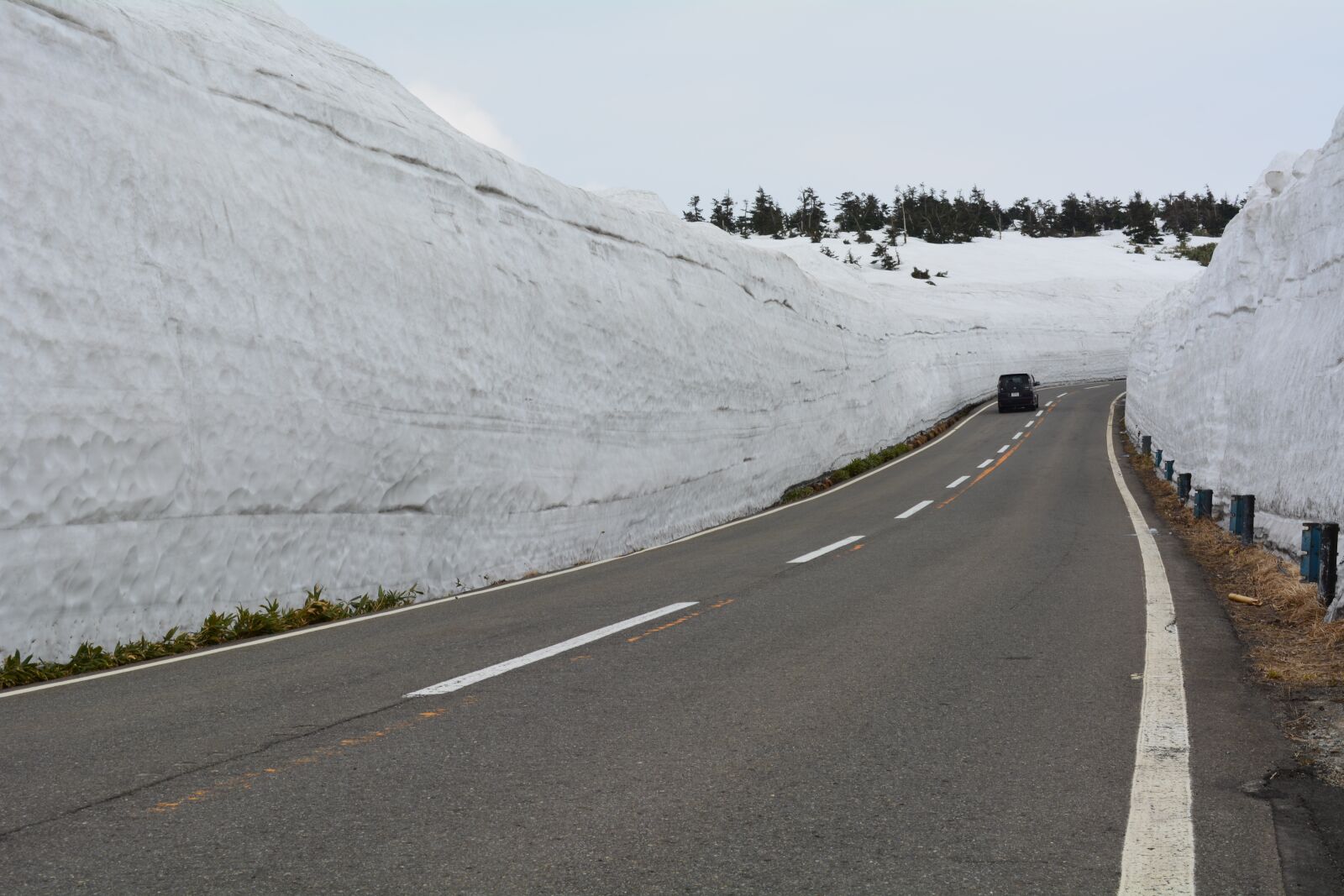 Nikon D5200 sample photo. A corridor of snow photography