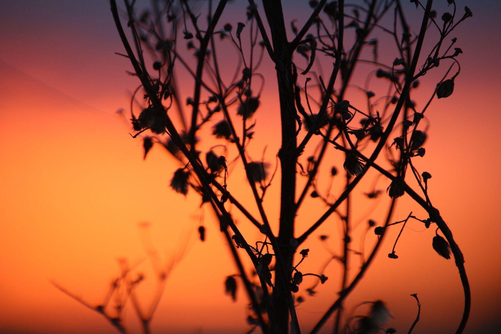 Canon EOS 100D (EOS Rebel SL1 / EOS Kiss X7) sample photo. Sunset, evening sky, afterglow photography