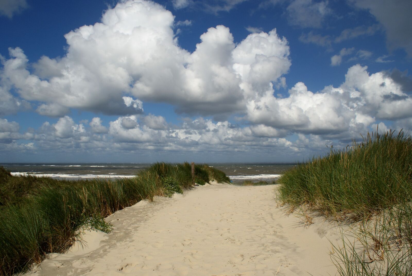 Sony Alpha DSLR-A300 sample photo. Borkum, north sea, beach photography