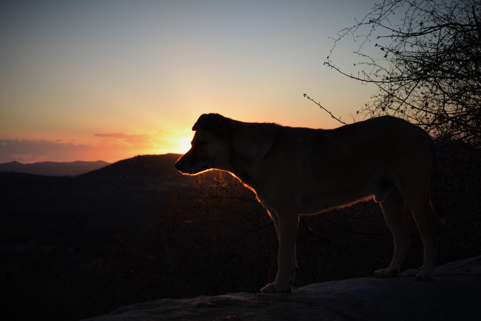Nikon D5200 sample photo. Northeast, dry, sunset photography