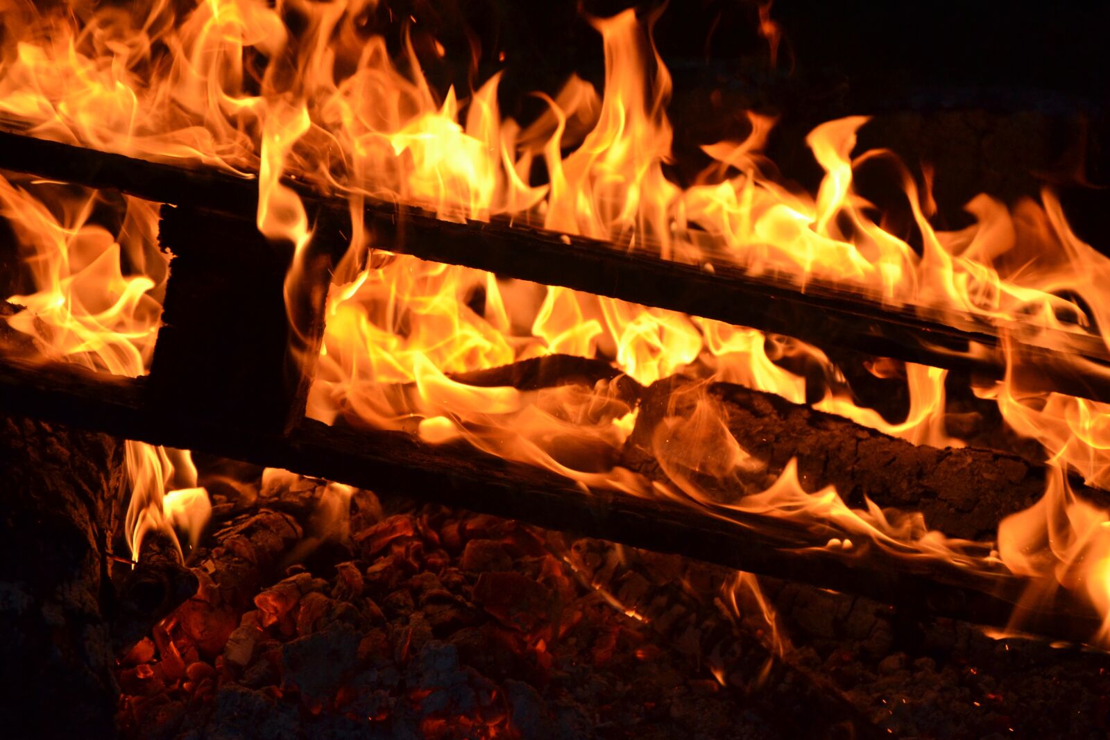 Nikon D3100 sample photo. Fire, yellow, orange photography