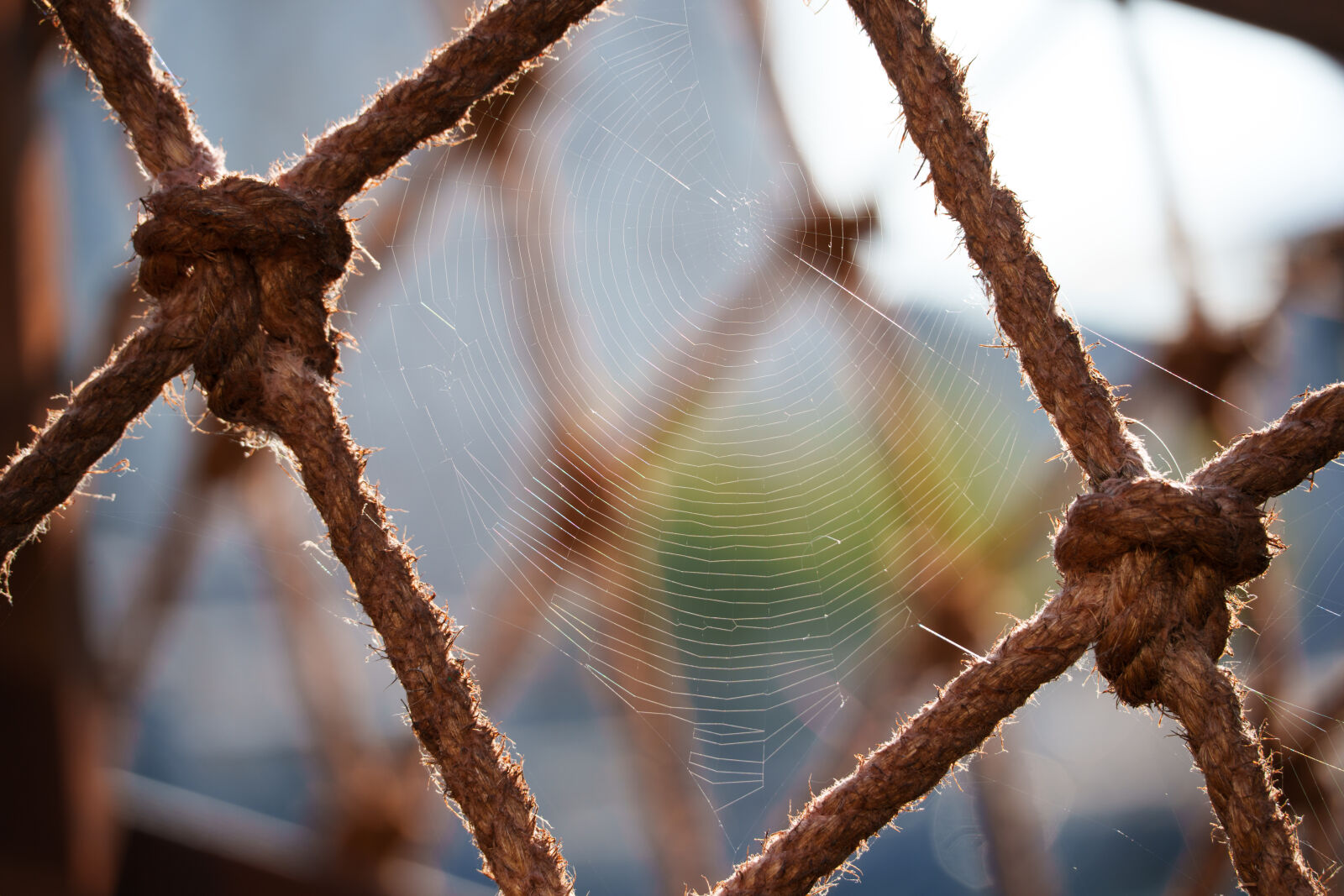 Tamron 50-300mm F4.5-6.3 Di III VC VXD sample photo. Rope bridge photography