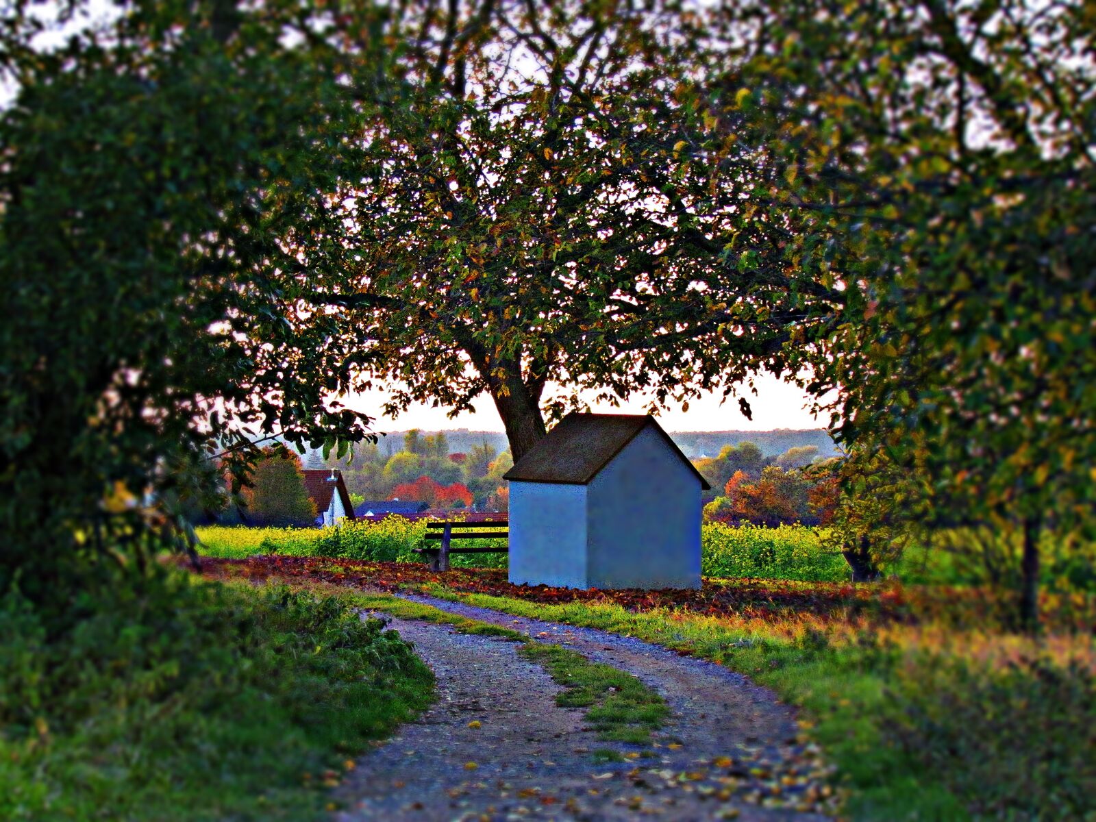 Canon PowerShot SX30 IS sample photo. Cottage, chapel, the path photography