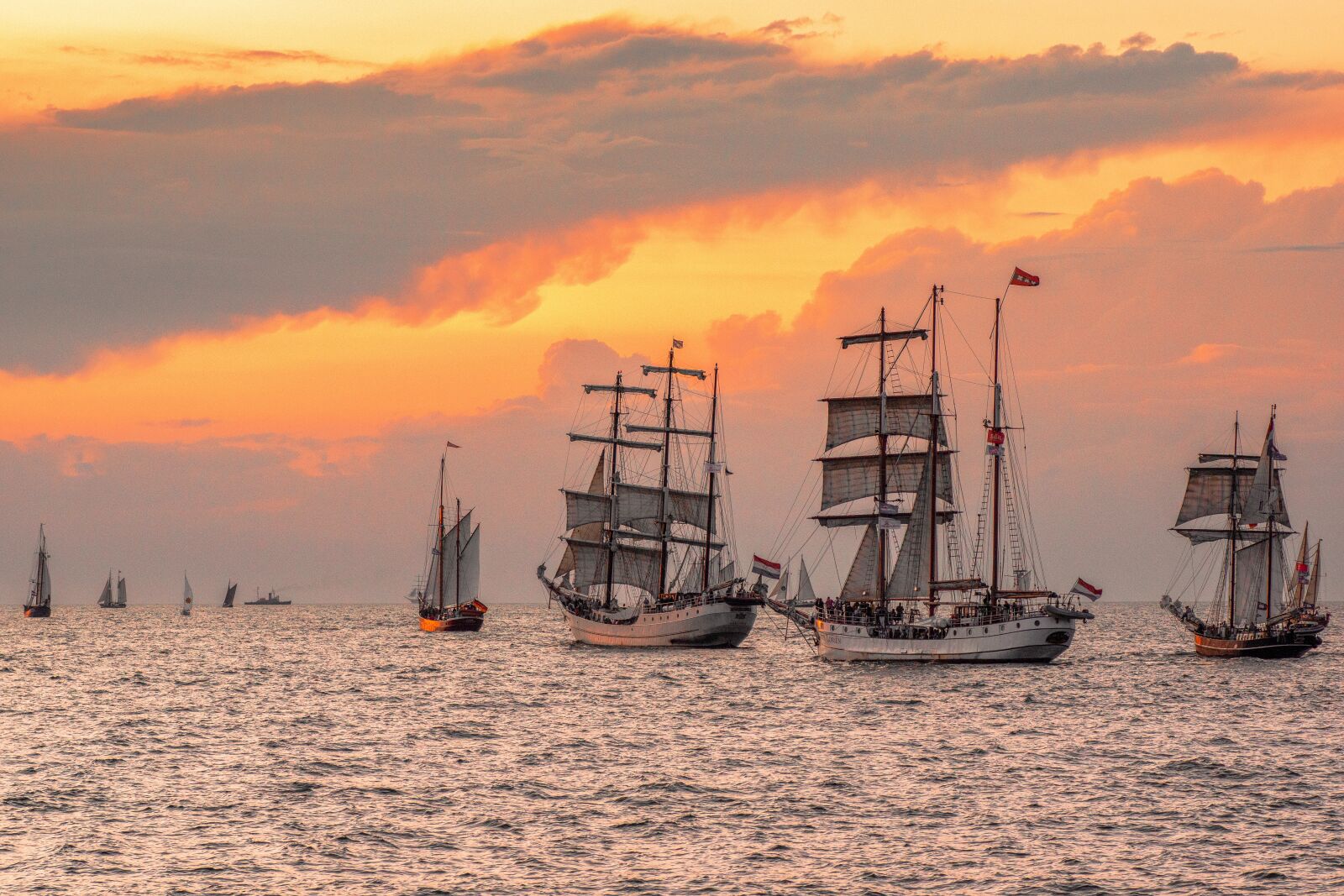 Sony SLT-A77 sample photo. Hanse sail, rostock, sail photography