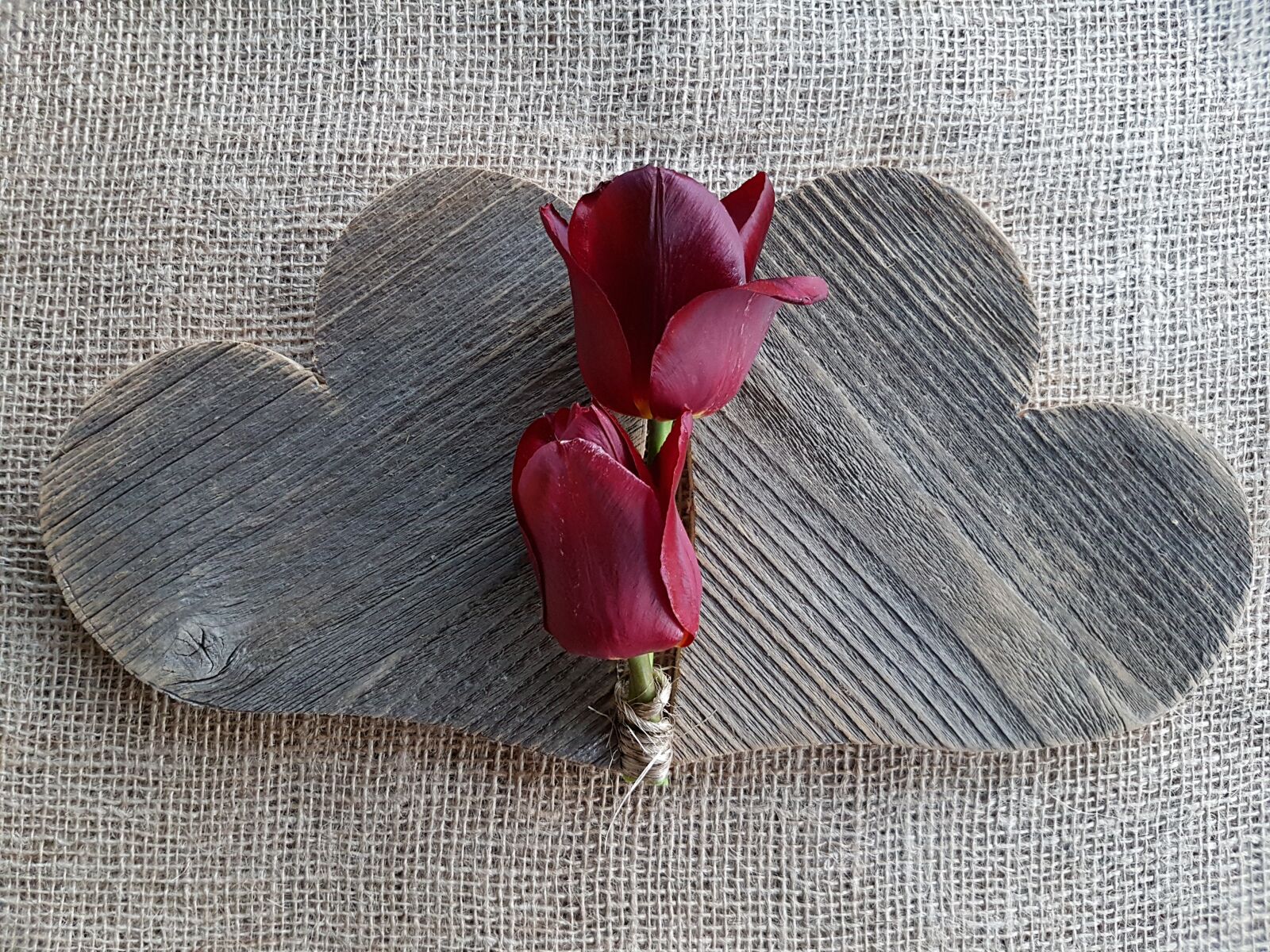 Samsung Galaxy S7 sample photo. Heart, tulips, love photography