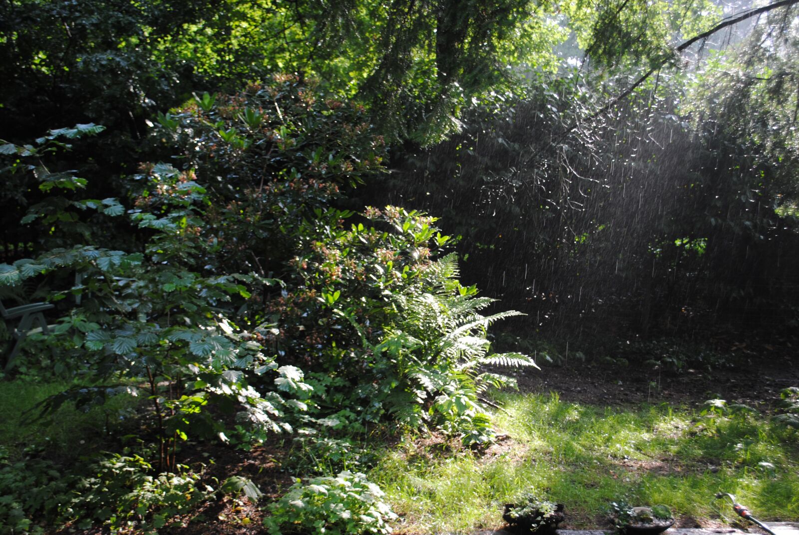 Nikon D3000 sample photo. Clearance, morning, spring photography