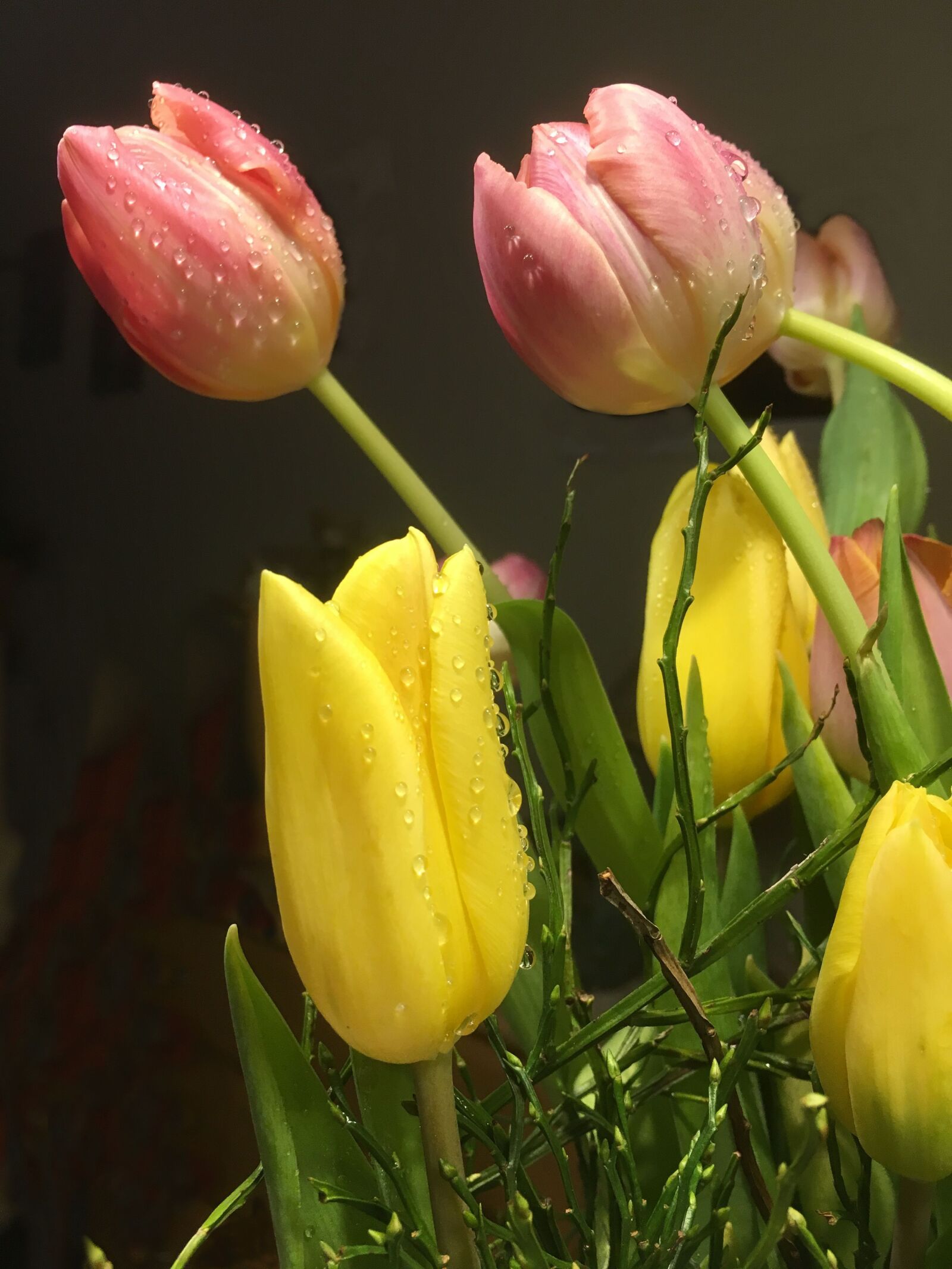 Apple iPhone 6s sample photo. Tulip bouquet, drop of photography