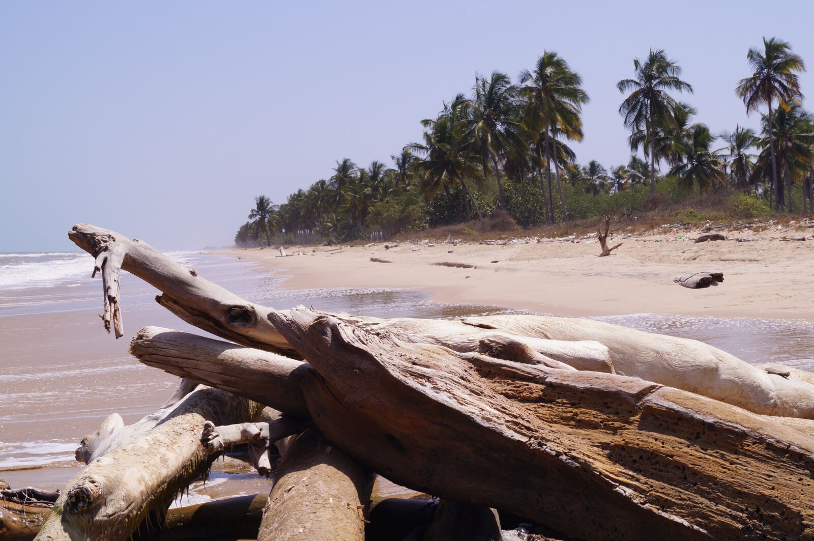 Sony SLT-A37 + Sony DT 18-55mm F3.5-5.6 SAM sample photo. Beach, machurucuto beach, miranda photography