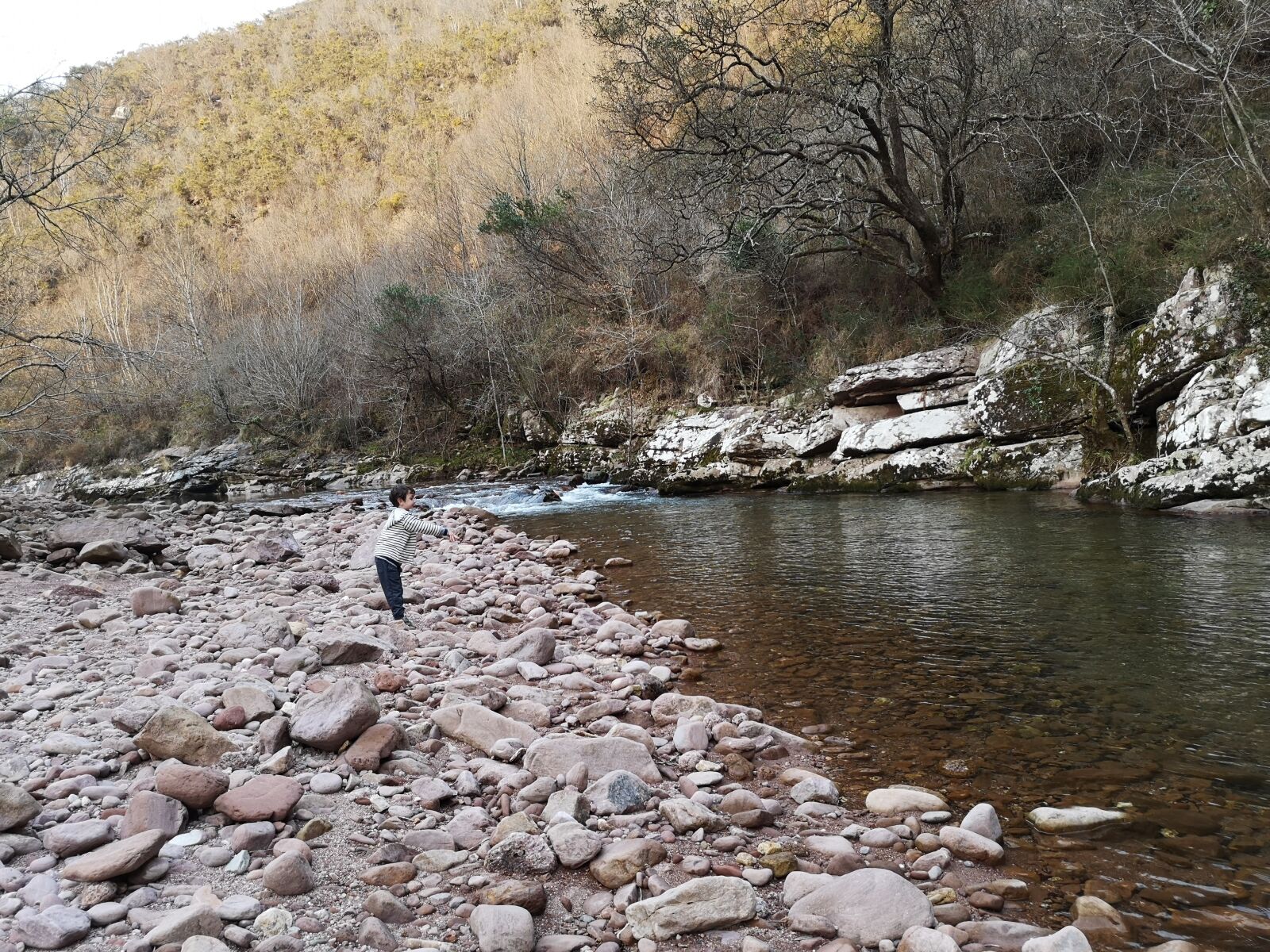 HUAWEI P20 sample photo. River, pebble, nature photography