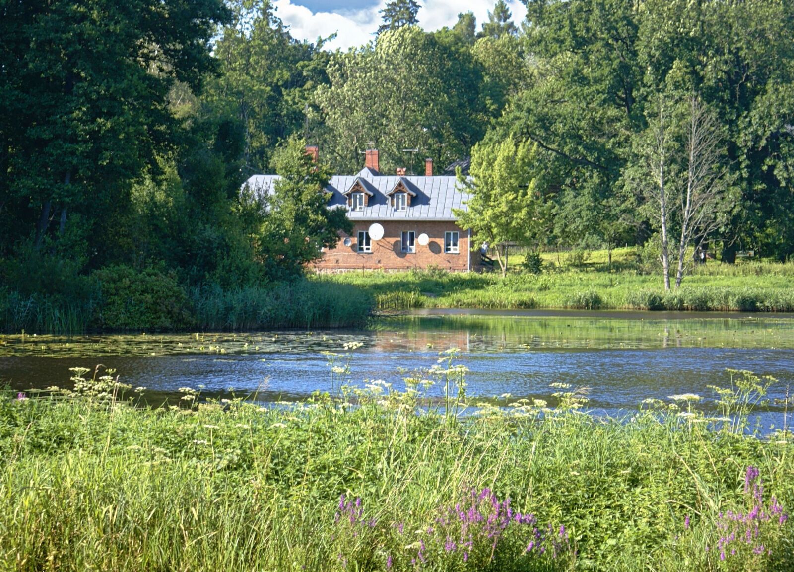 Sony Alpha DSLR-A100 sample photo. Pond, park, house photography