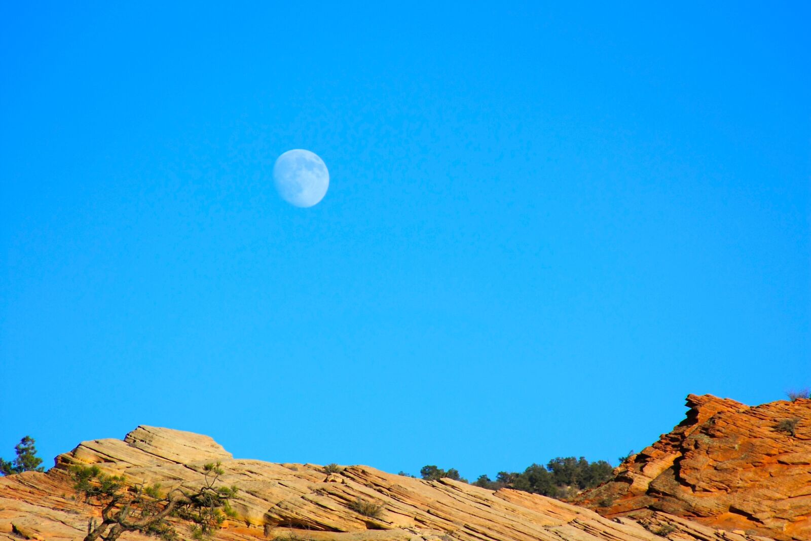 Canon EOS 450D (EOS Rebel XSi / EOS Kiss X2) sample photo. Moon, blue, red photography