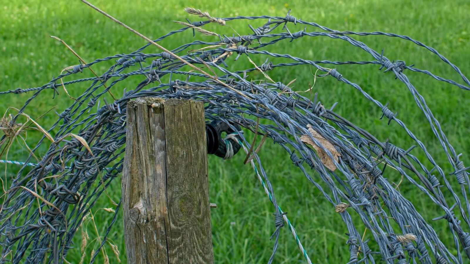 Nikon AF-S DX Nikkor 35mm F1.8G sample photo. Barbed wire, role, metal photography