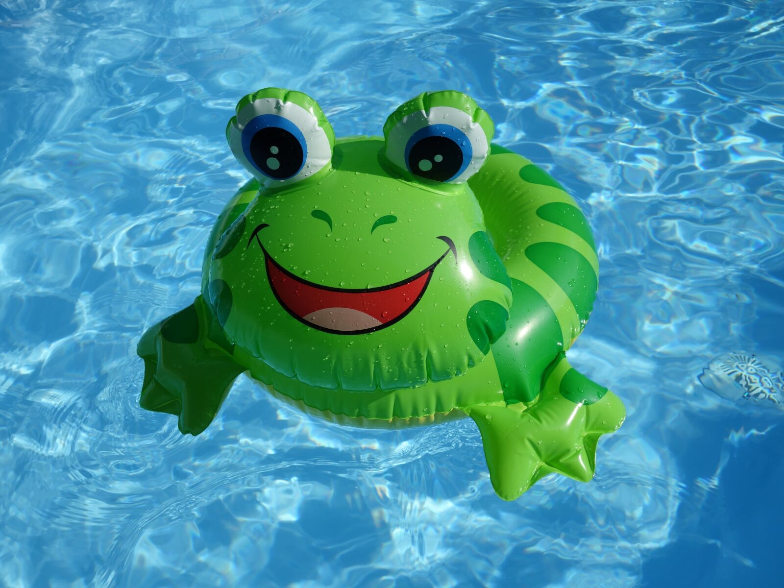 Sony Cyber-shot DSC-RX100 II sample photo. Frog, float, plastic photography