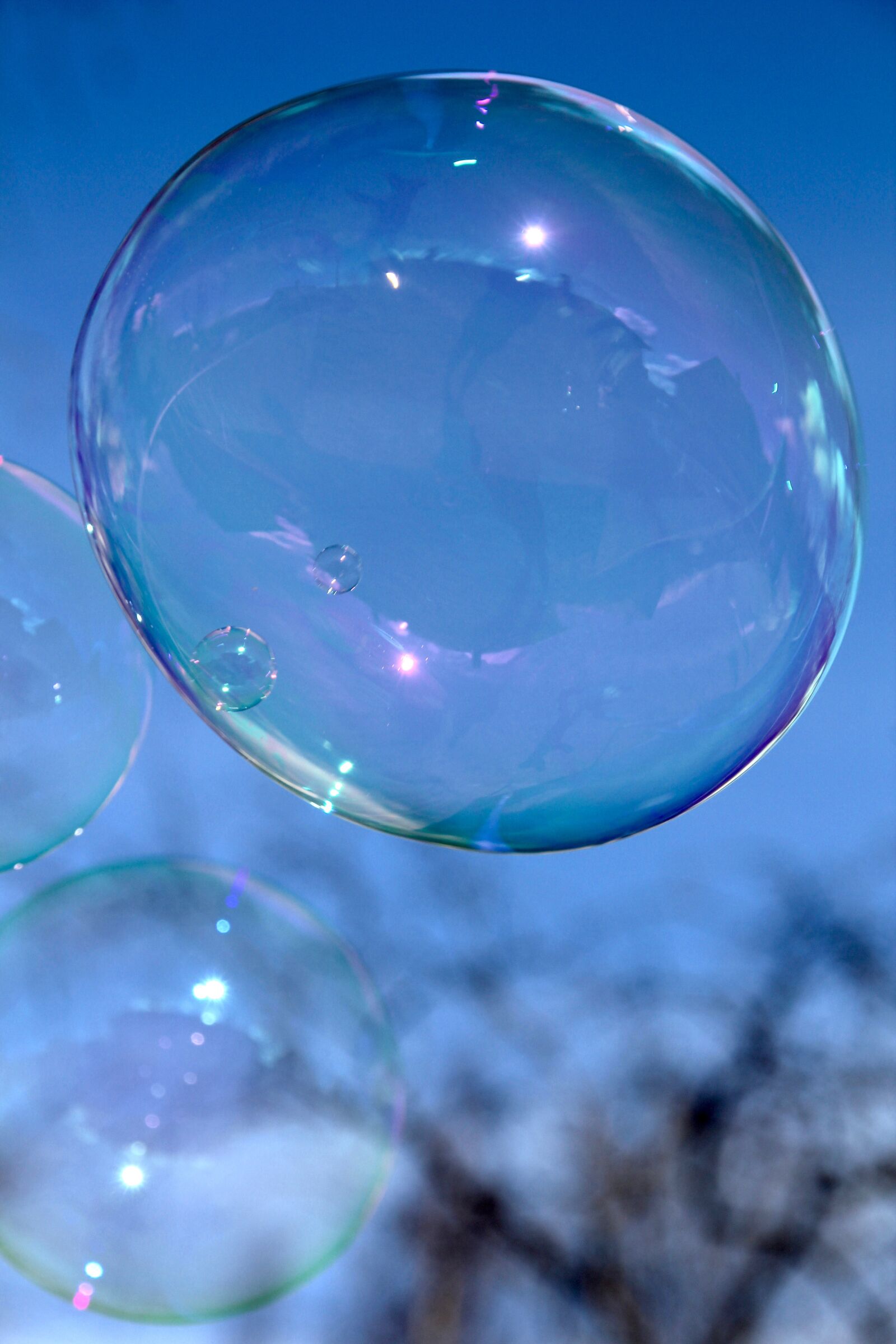 Canon EOS 60D sample photo. Bubble, air, soap photography