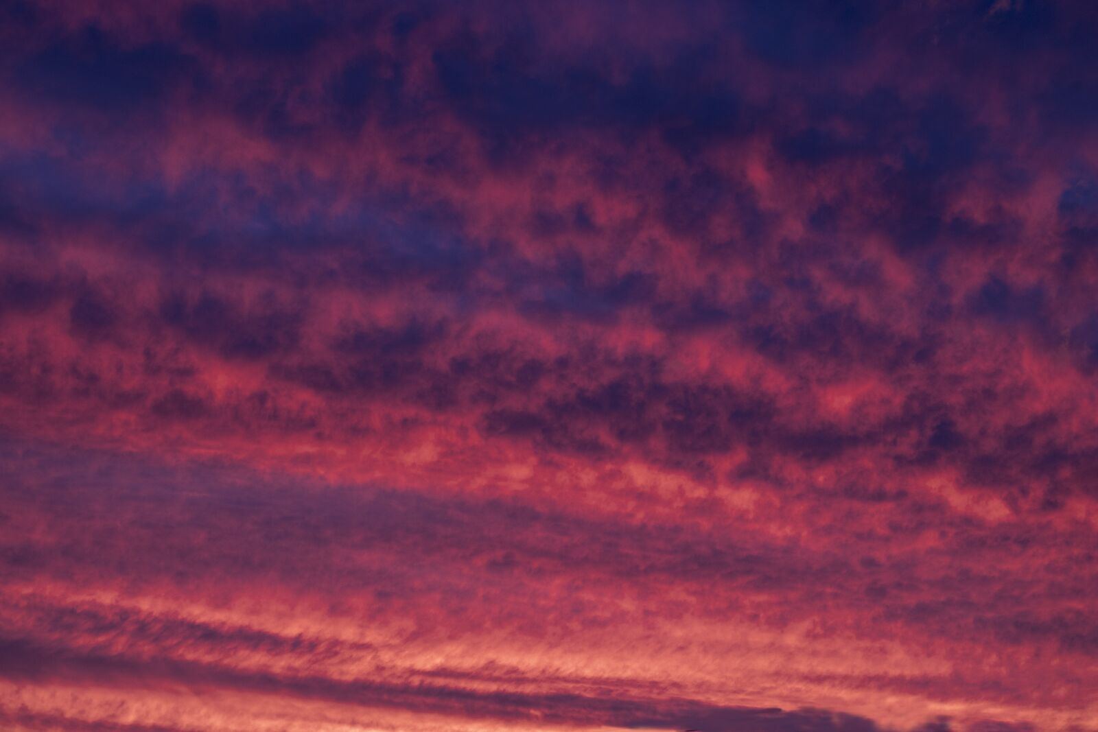 Canon EOS 250D (EOS Rebel SL3 / EOS Kiss X10 / EOS 200D II) sample photo. Fiery sky, romantic, twilight photography