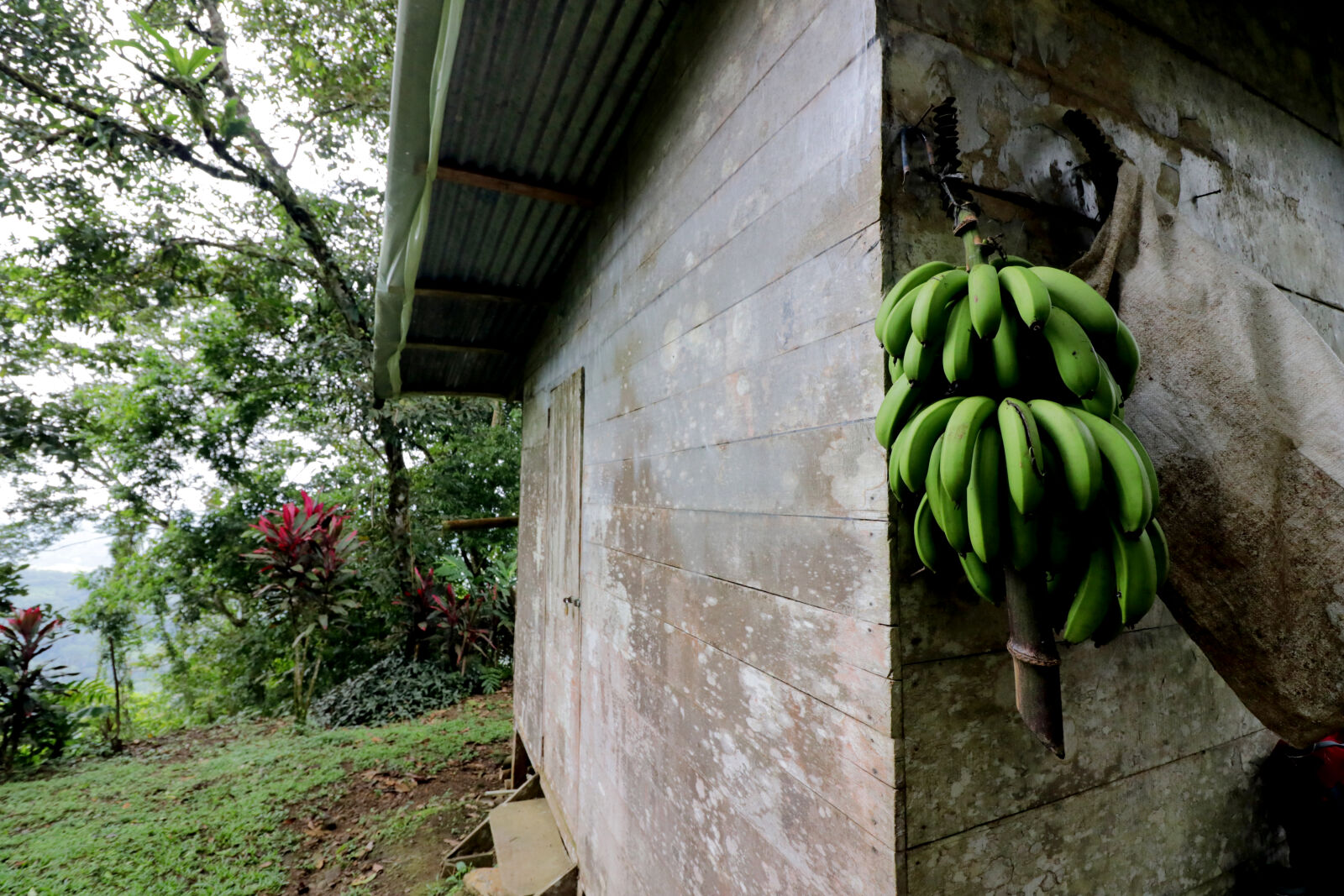 Canon EF-S 10-18mm F4.5–5.6 IS STM sample photo. Costarica, old, house, rainforest photography
