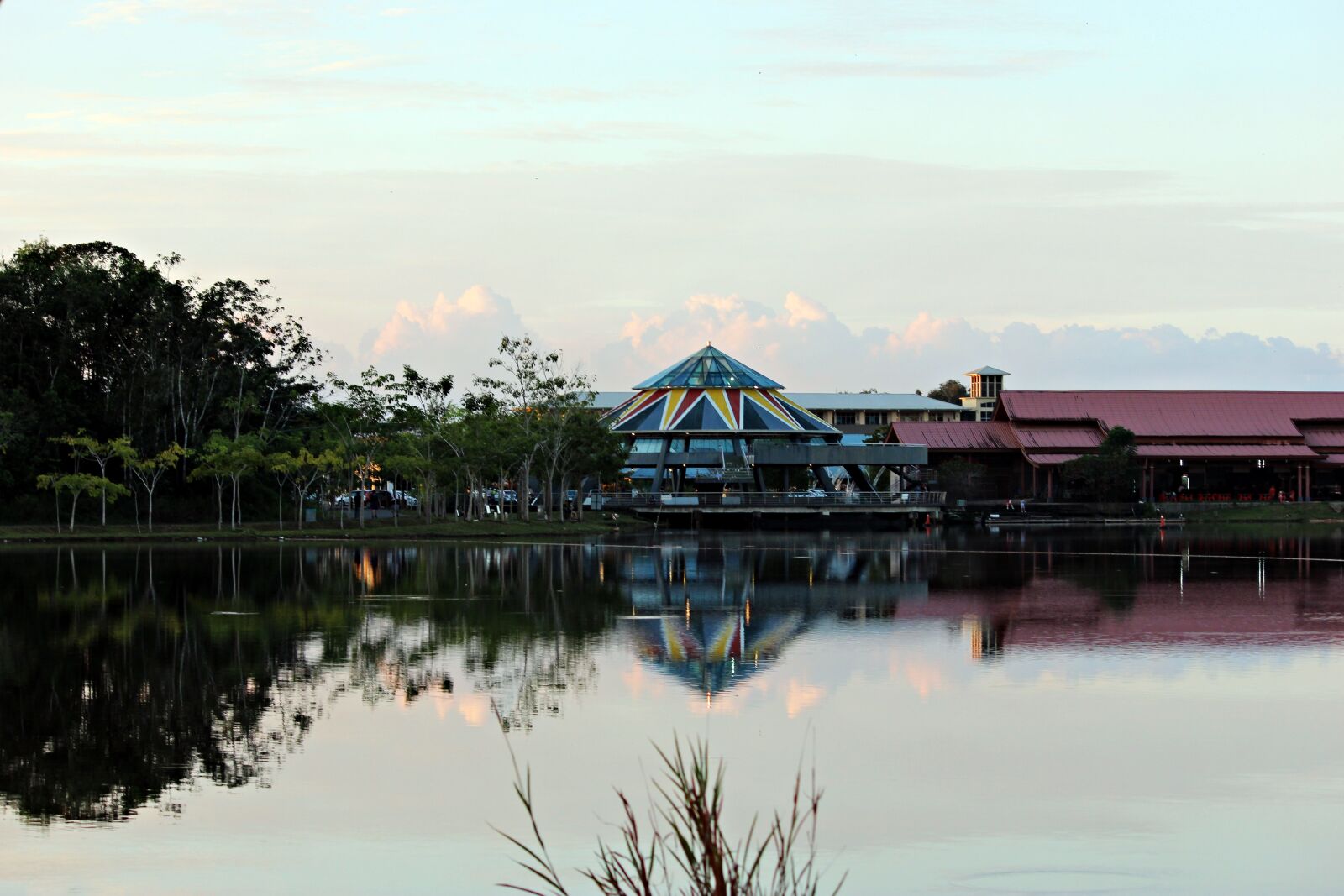 Canon EOS 600D (Rebel EOS T3i / EOS Kiss X5) sample photo. Nature, tree, lake photography