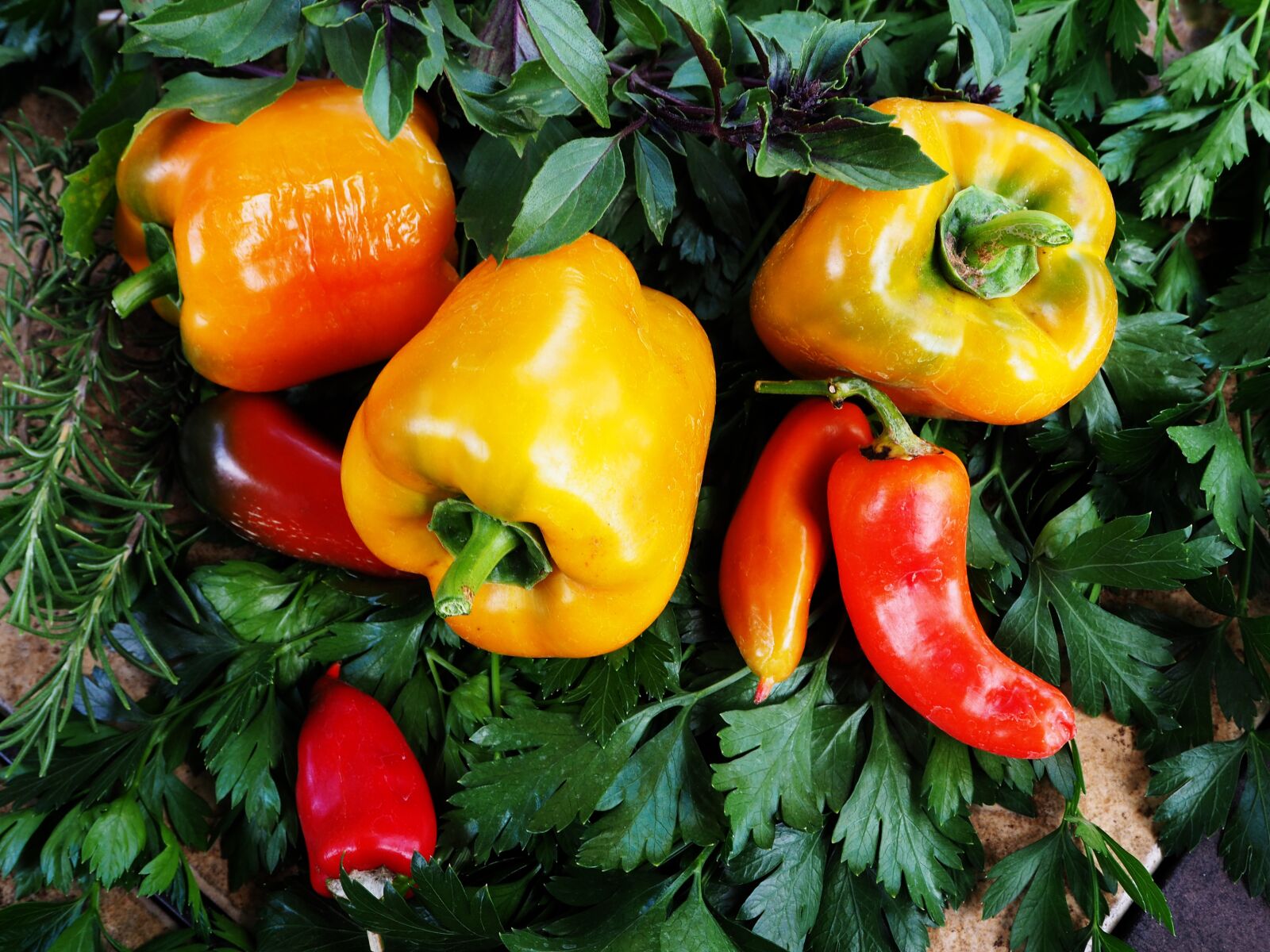 Olympus OM-D E-M10 II sample photo. Food, vegetable, pepper photography
