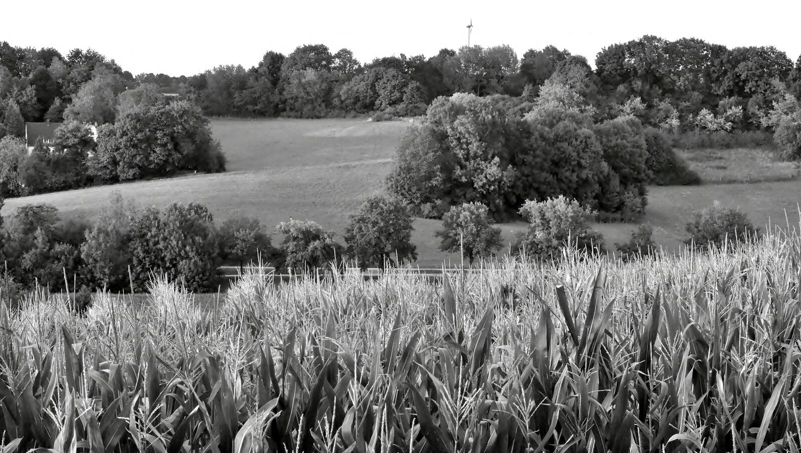 Nikon D7200 sample photo. Landscape, twilight, black and photography