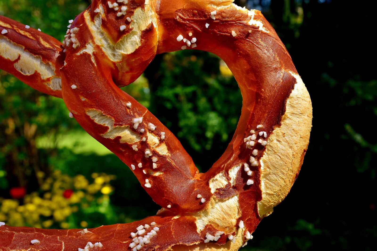 Nikon D7200 sample photo. Wiesnbreze, breze, pretzel photography