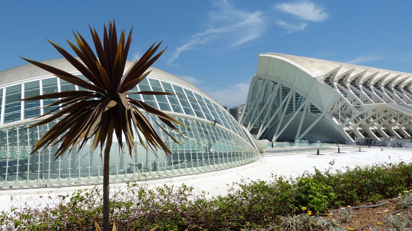Panasonic Lumix DMC-FZ150 sample photo. The dome of the photography