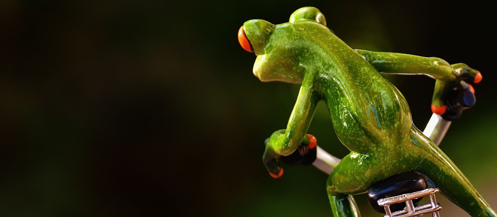Nikon D7200 sample photo. Frog, bike, funny photography