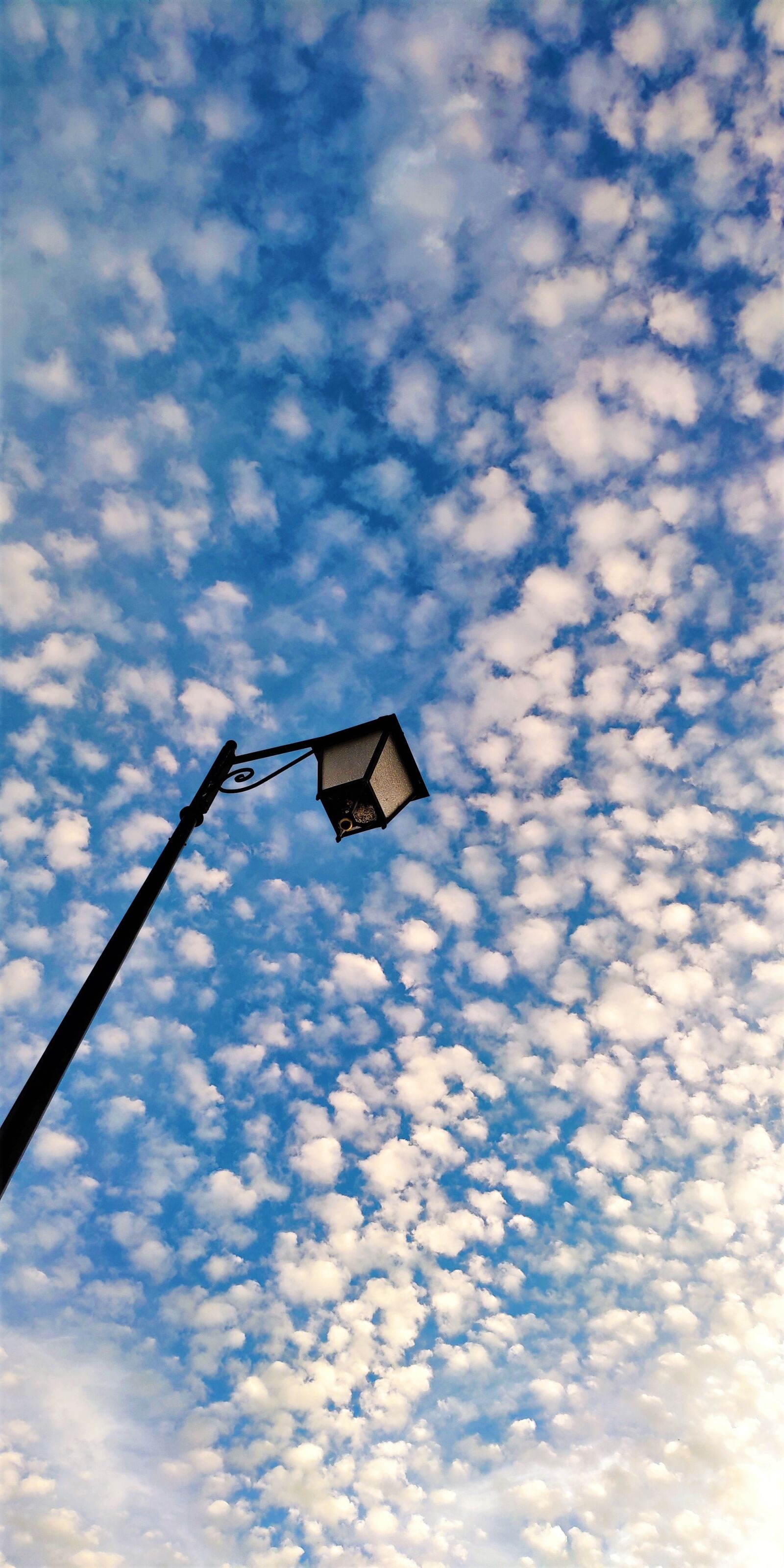 Xiaomi Mi MIX 2S sample photo. Sky, cloud, clouds photography