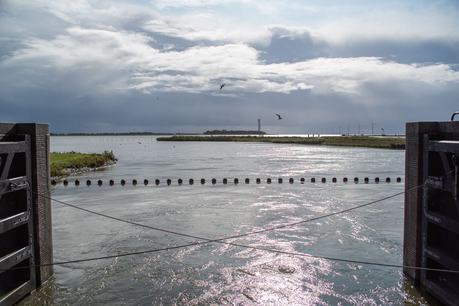Nikon D750 sample photo. Lake, flood defense, cultural photography