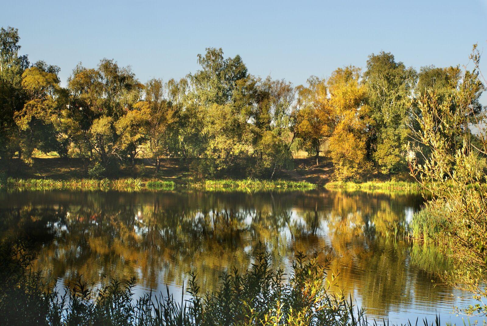 Sony Alpha DSLR-A200 sample photo. Author, skibka, photo photography