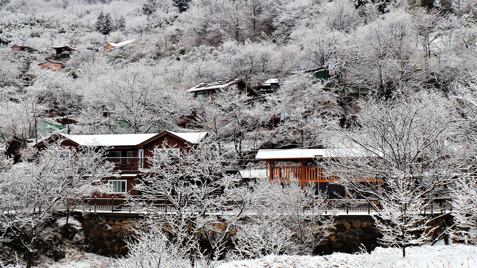 Samsung Galaxy Camera (Wi-Fi) sample photo. Mountain village, winter tree photography