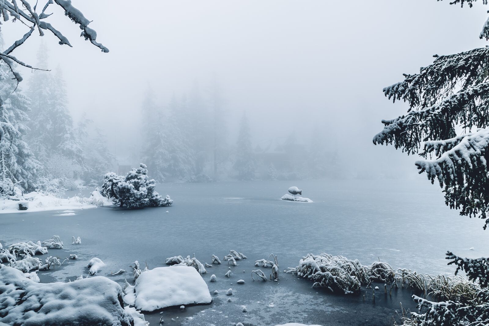 Nikon D7000 sample photo. Winter, white, snow photography