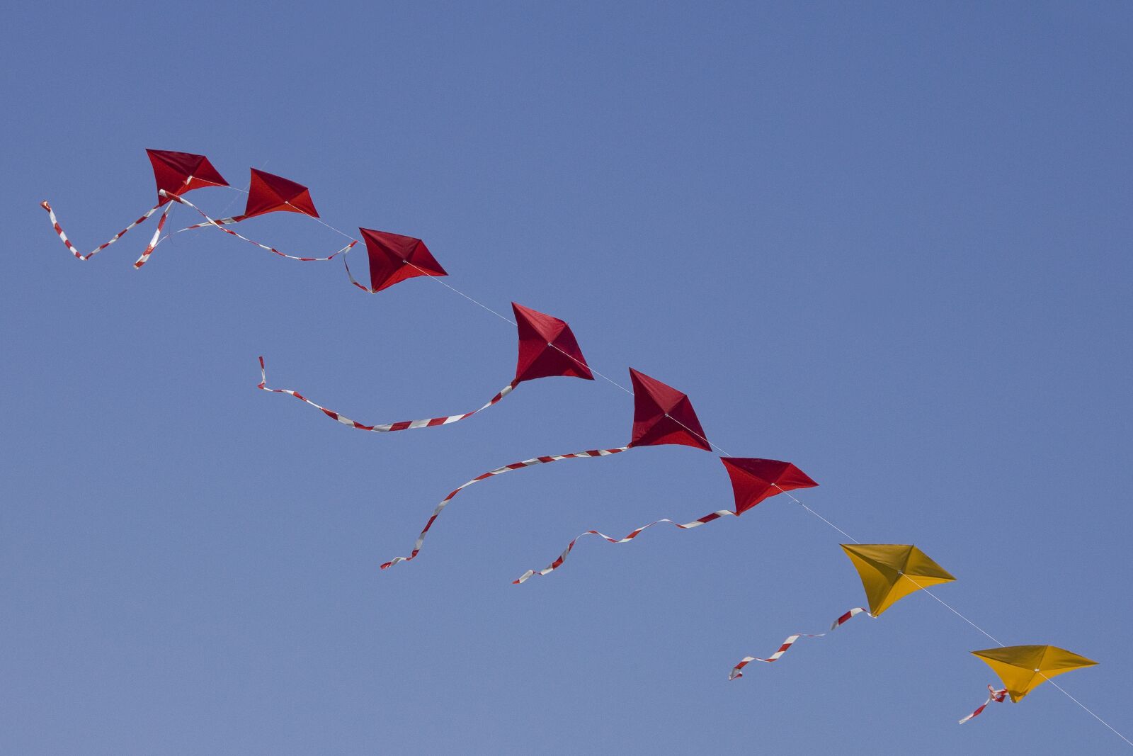 Canon EOS 5D Mark II sample photo. Aviator, red, yellow photography