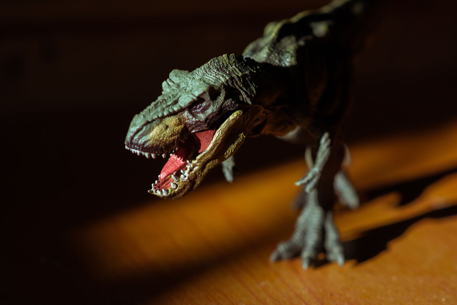 Nikon D5200 sample photo. Toy, animal, cute photography