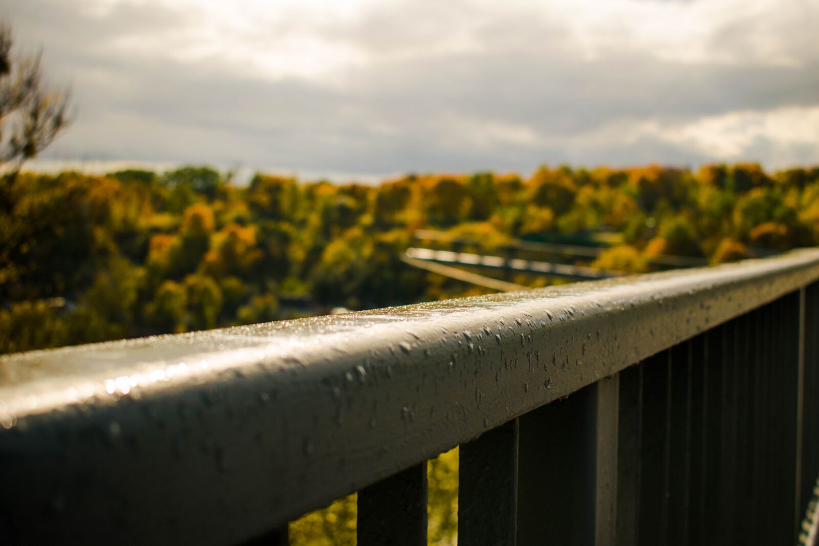 Nikon D3300 sample photo. Ukraine, zhitomir, park photography