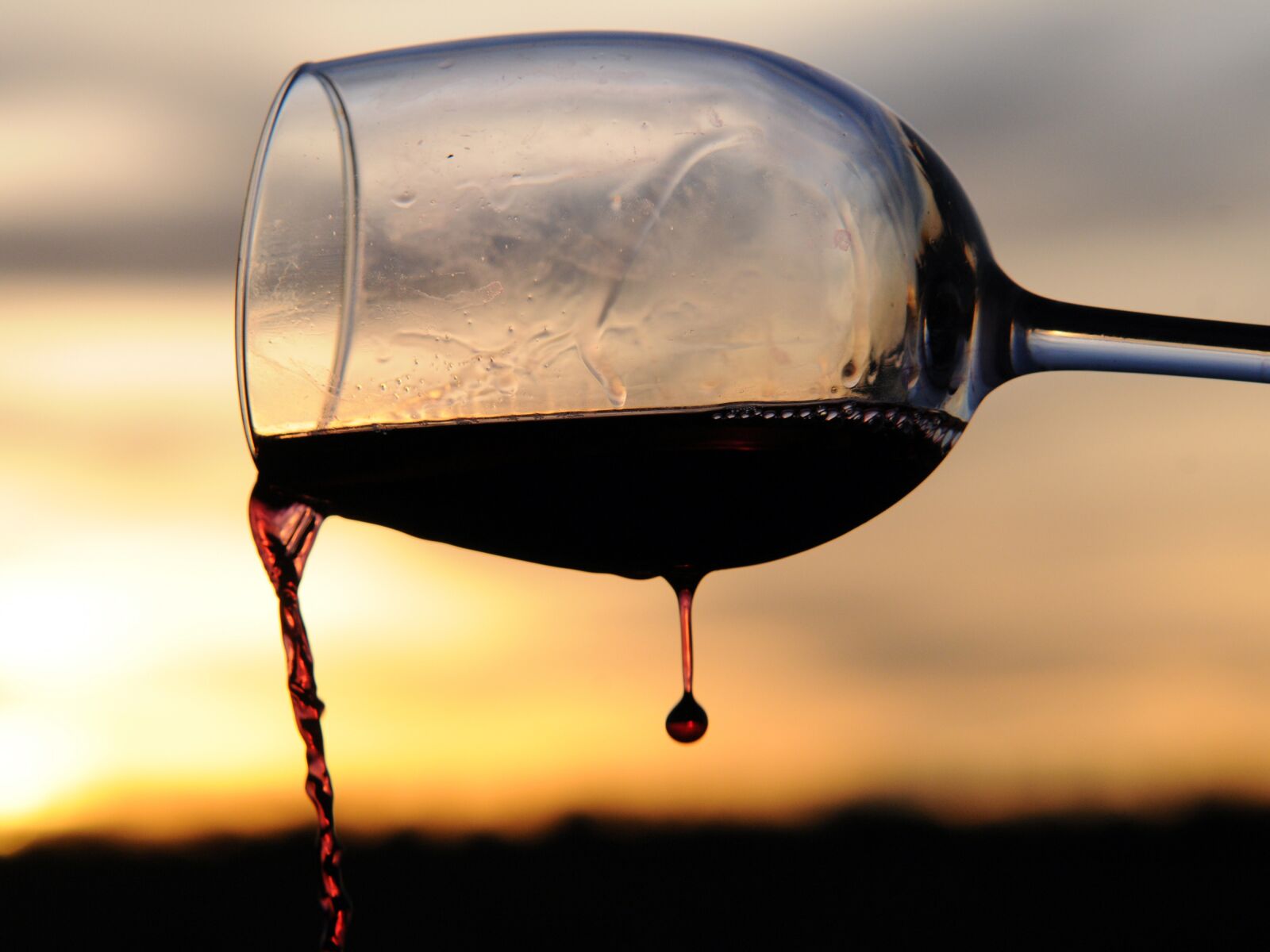 Nikon D300 sample photo. Cup, wine, sun photography