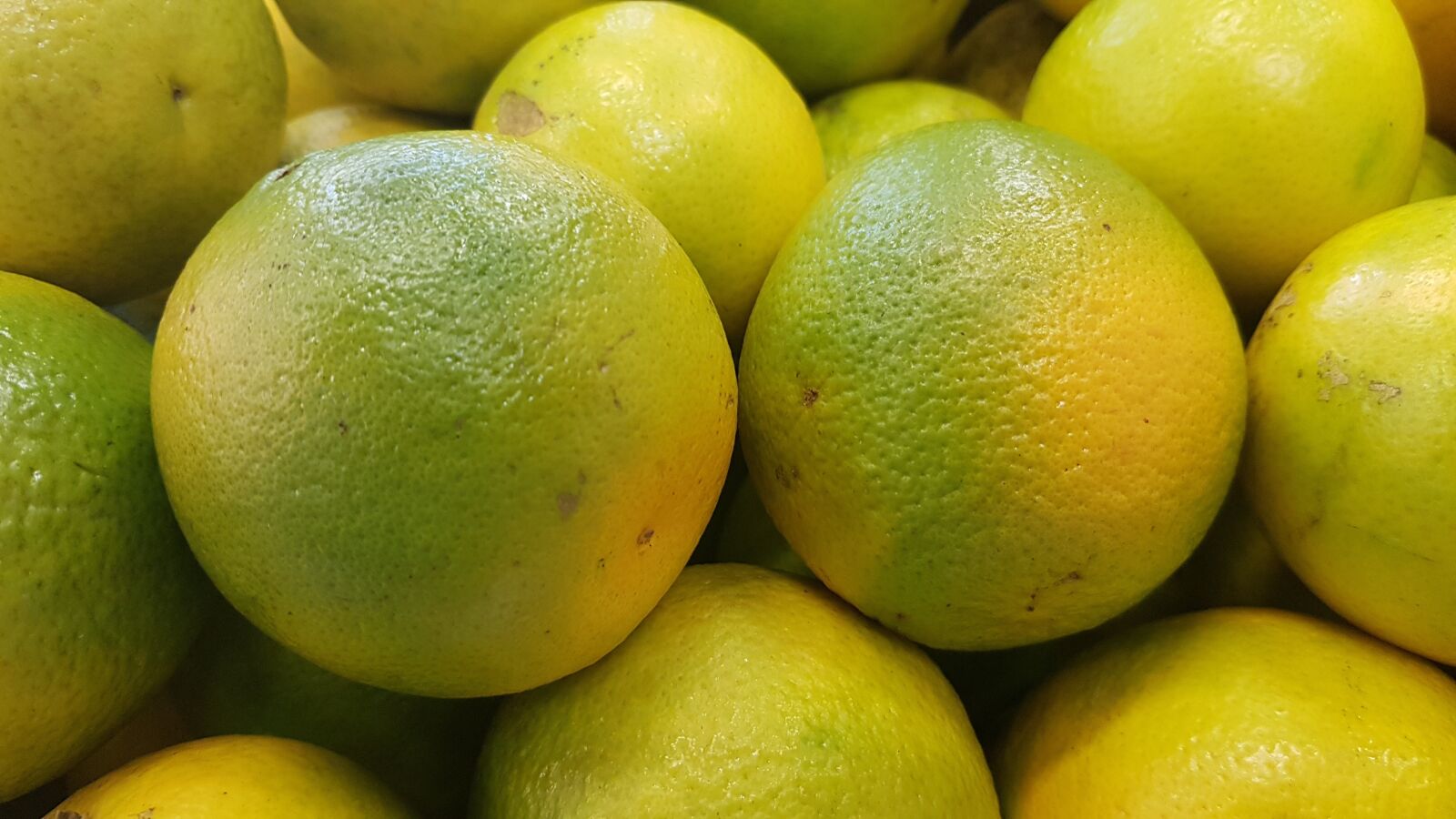 Samsung Galaxy S8+ sample photo. Oranges, fruit, vitamin c photography