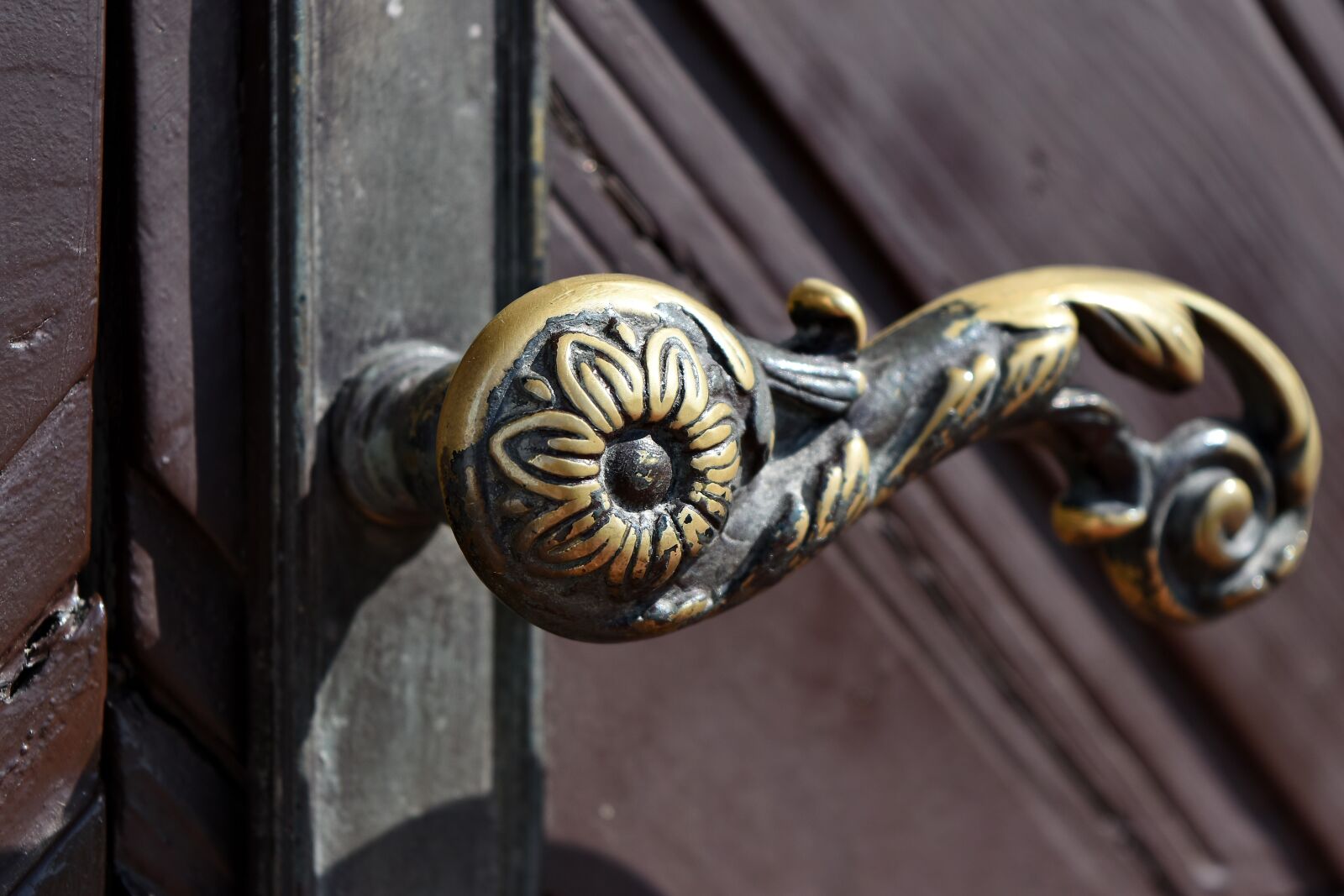 Nikon D5500 sample photo. Brass, front door, ornament photography