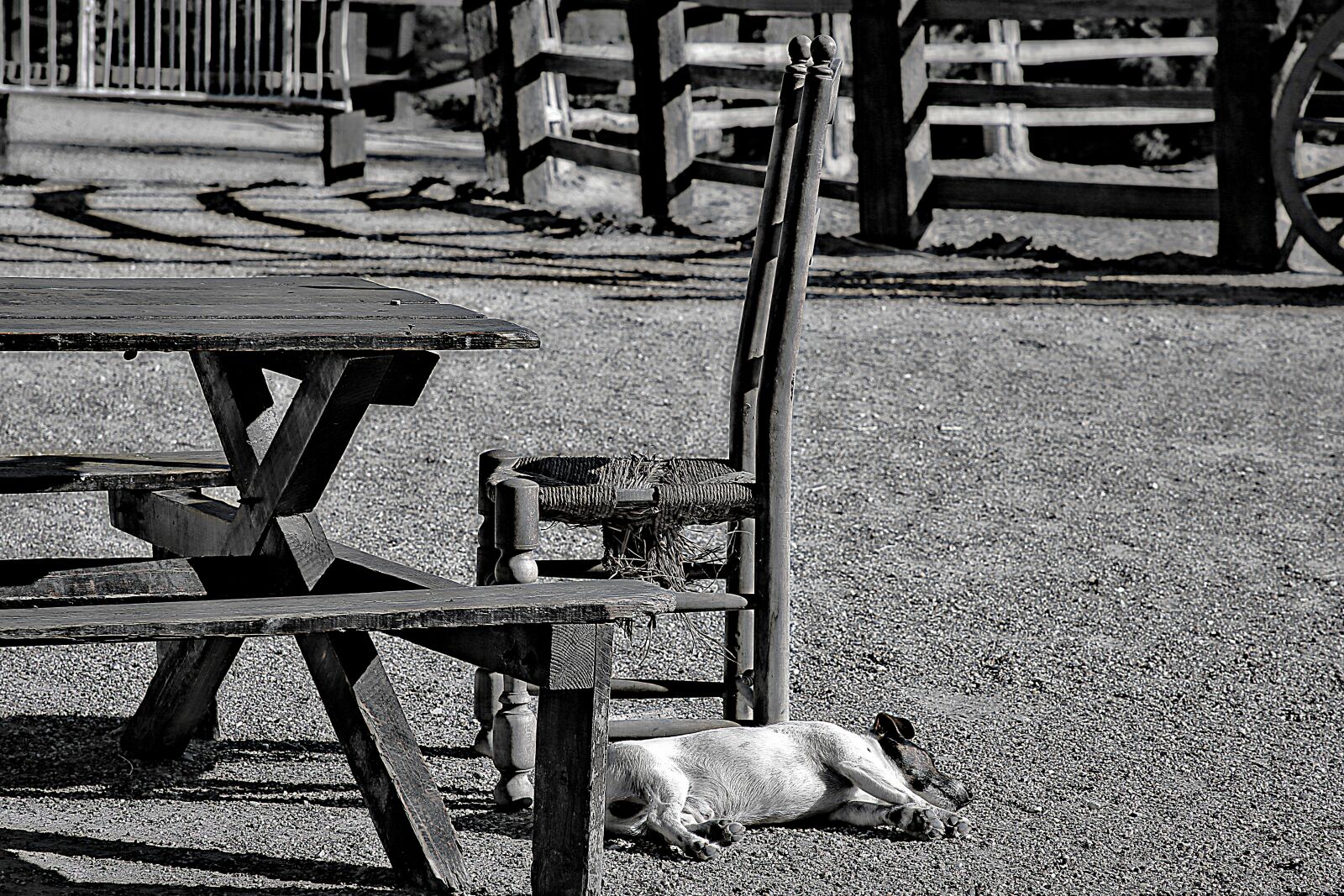 Canon EOS 5D Mark III sample photo. Dog, stable, outside photography