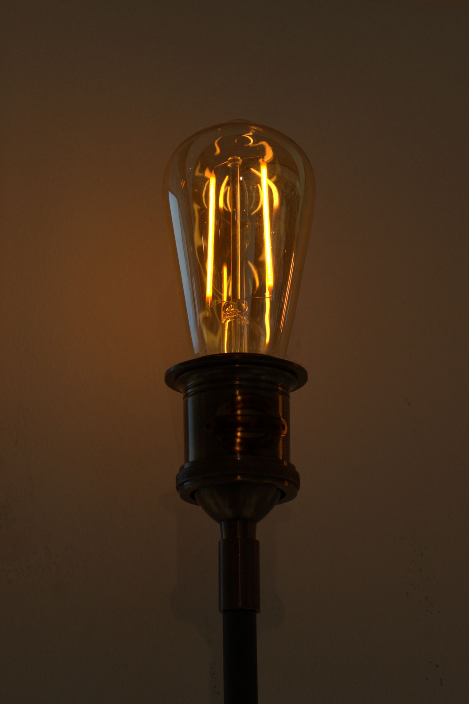 Sony FE 50mm F2.8 Macro sample photo. Idea, pear, light bulb photography
