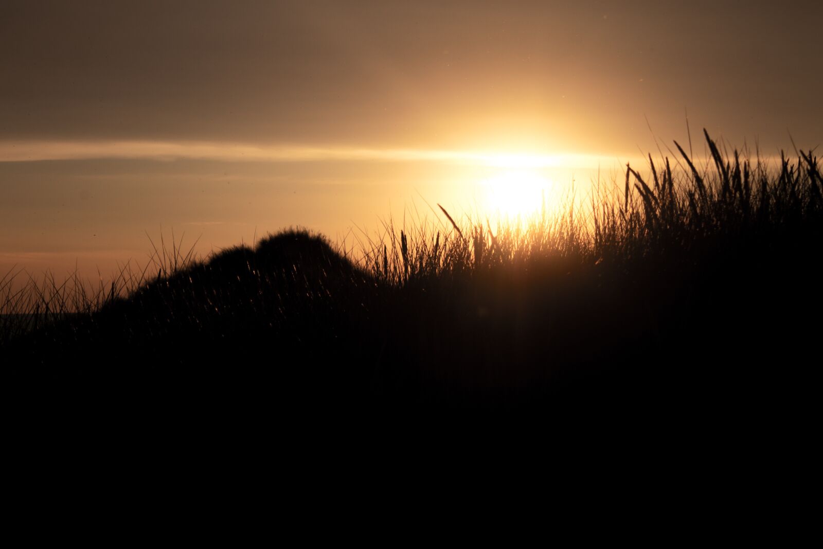 Canon EOS 1100D (EOS Rebel T3 / EOS Kiss X50) sample photo. Sunset, dunes, denmark photography