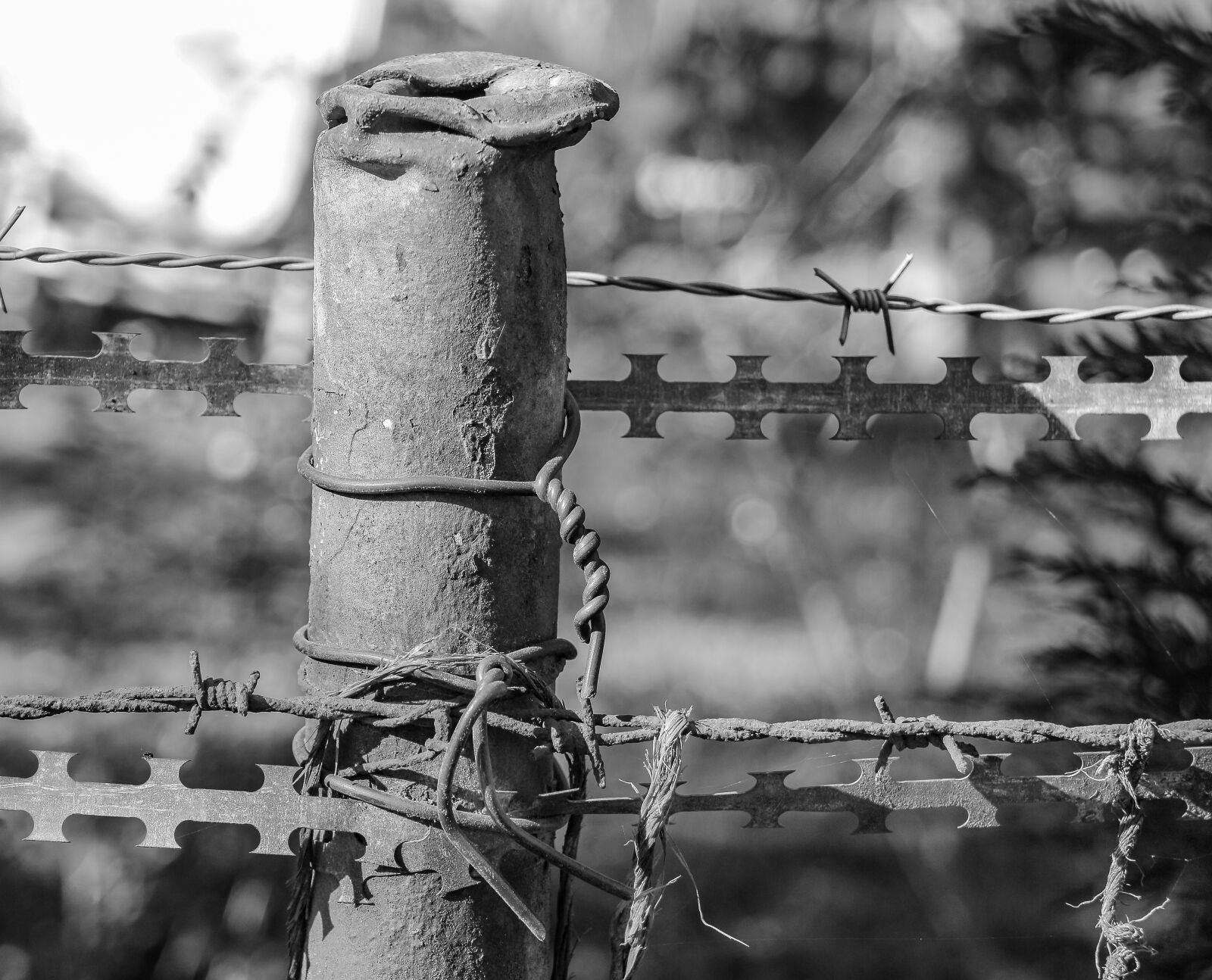 Canon EOS 700D (EOS Rebel T5i / EOS Kiss X7i) sample photo. Steel, iron, fence photography