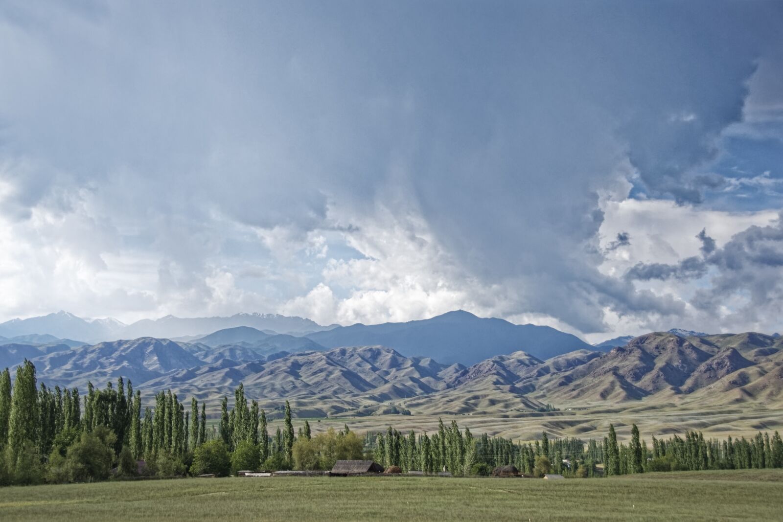 Nikon D500 sample photo. Kyrgyzstan, the ferghana mountains photography